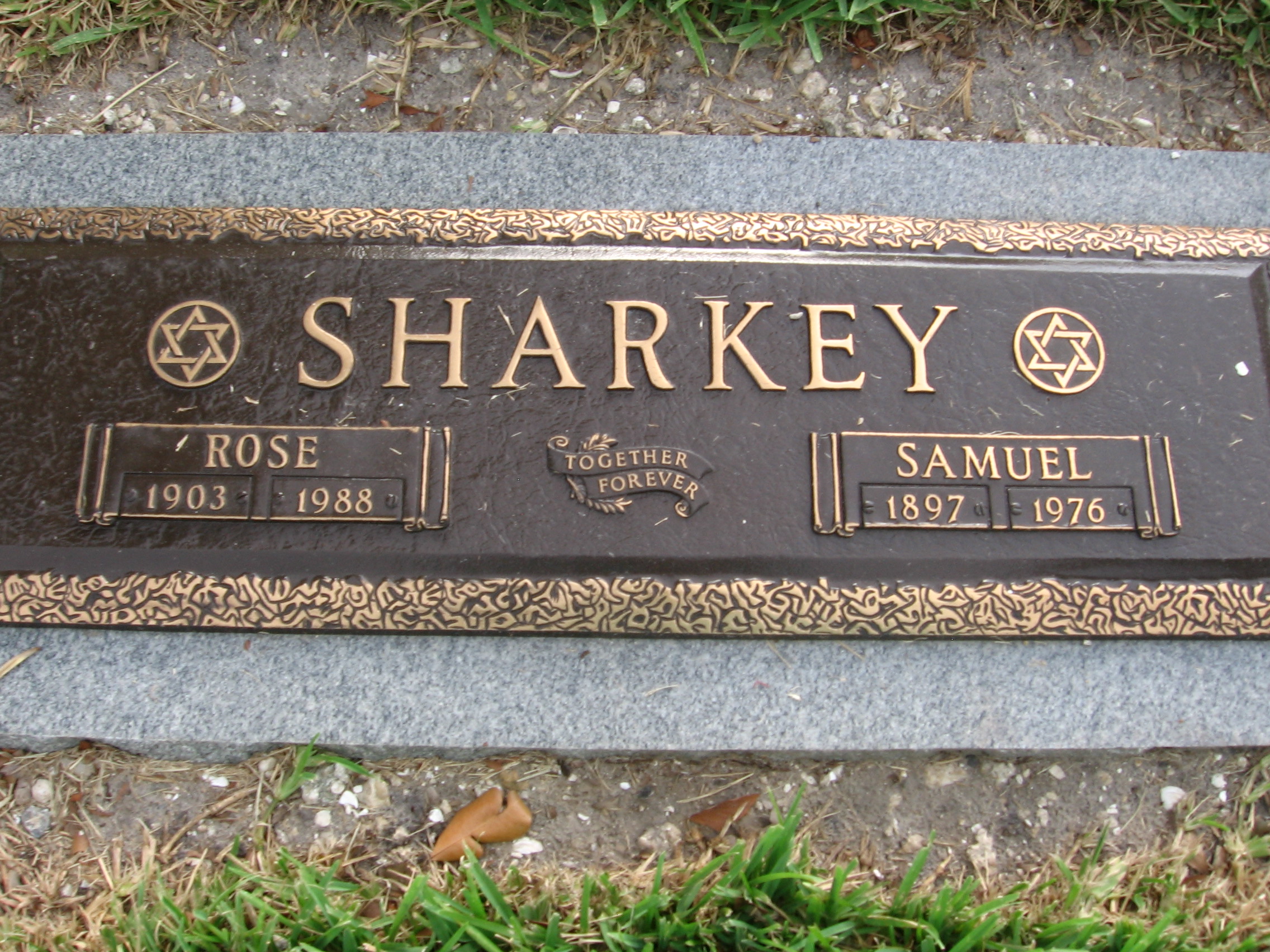 Samuel Sharkey