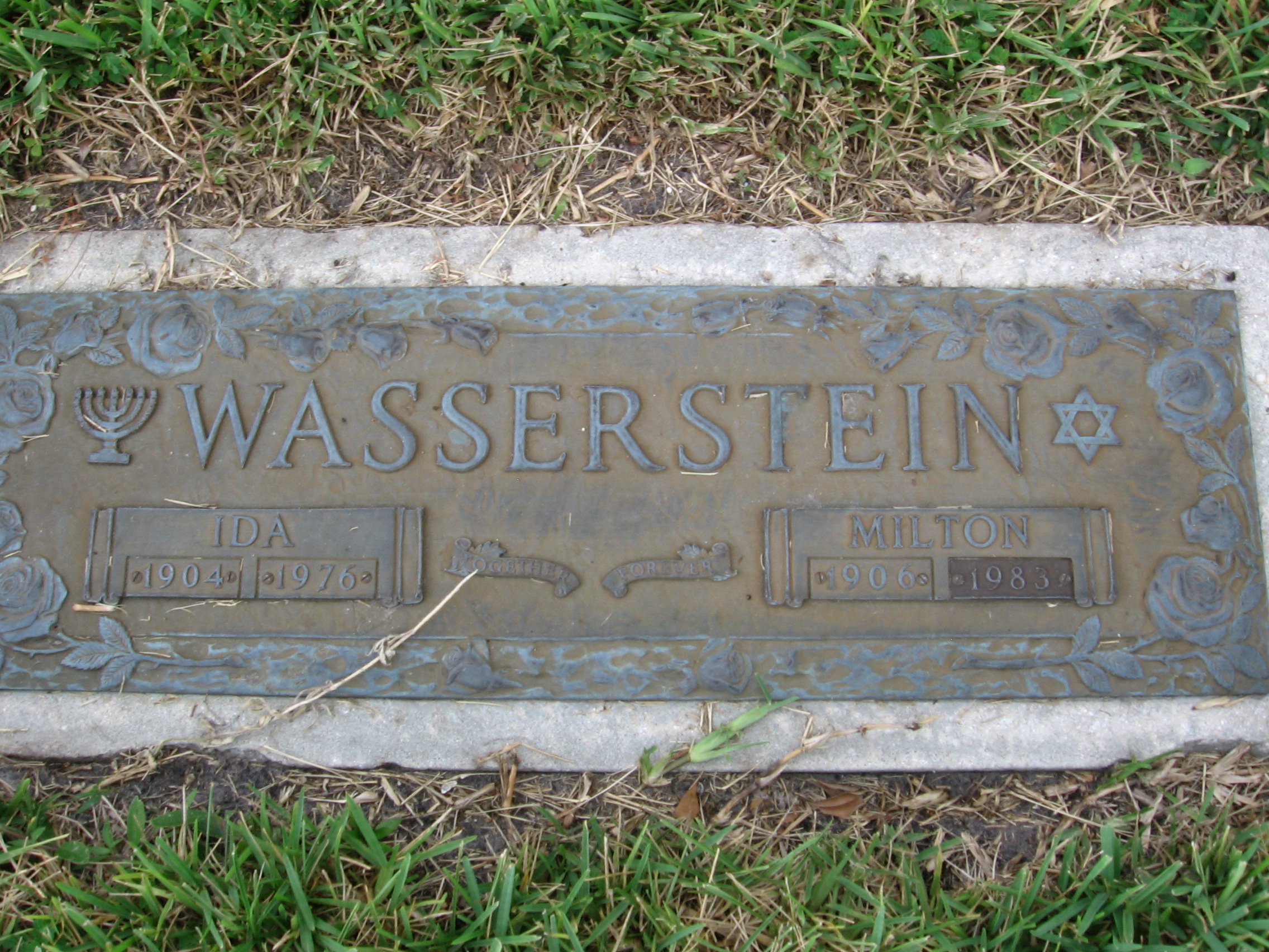 Ida Wasserstein