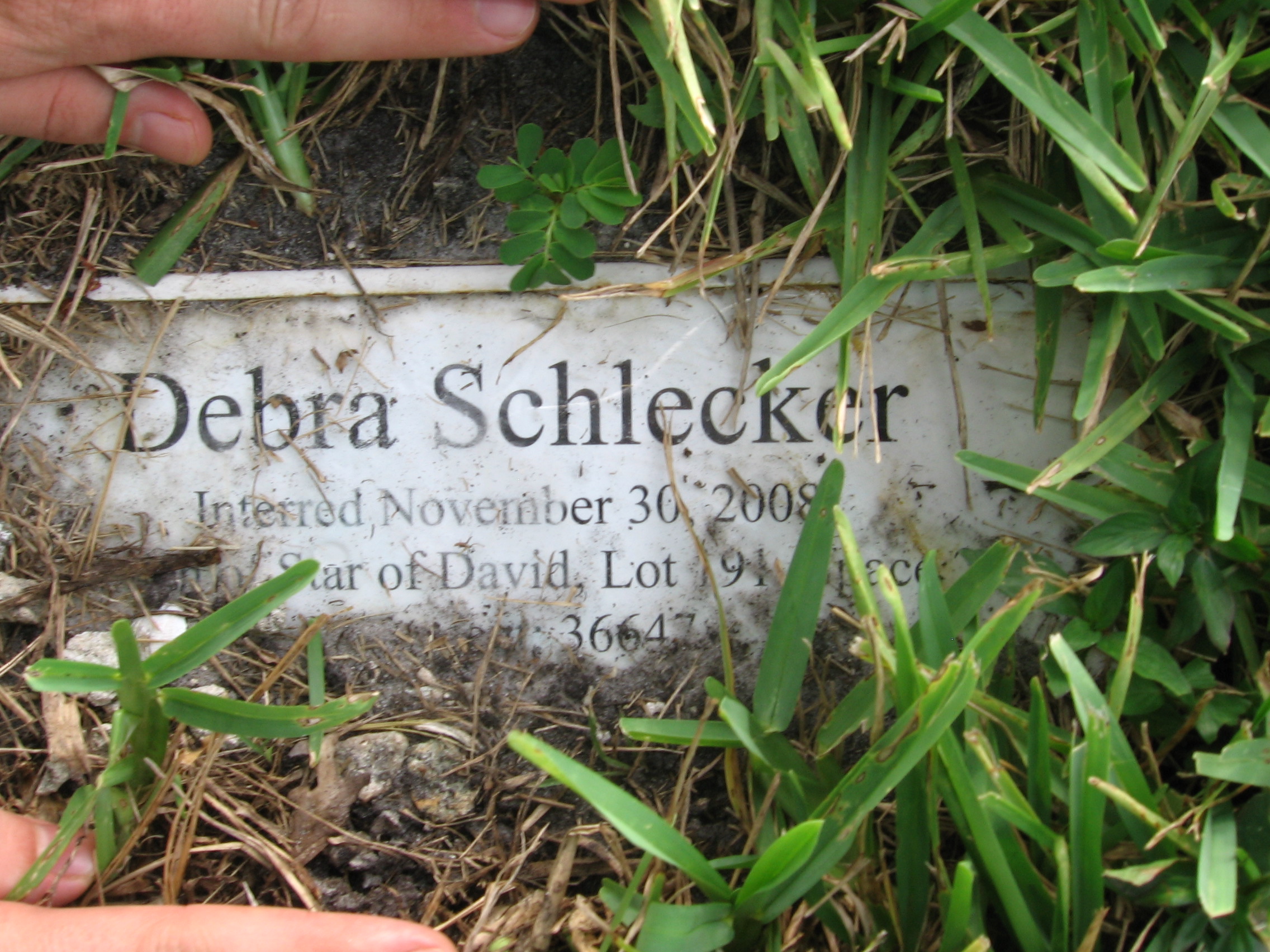 Debra Schlecker