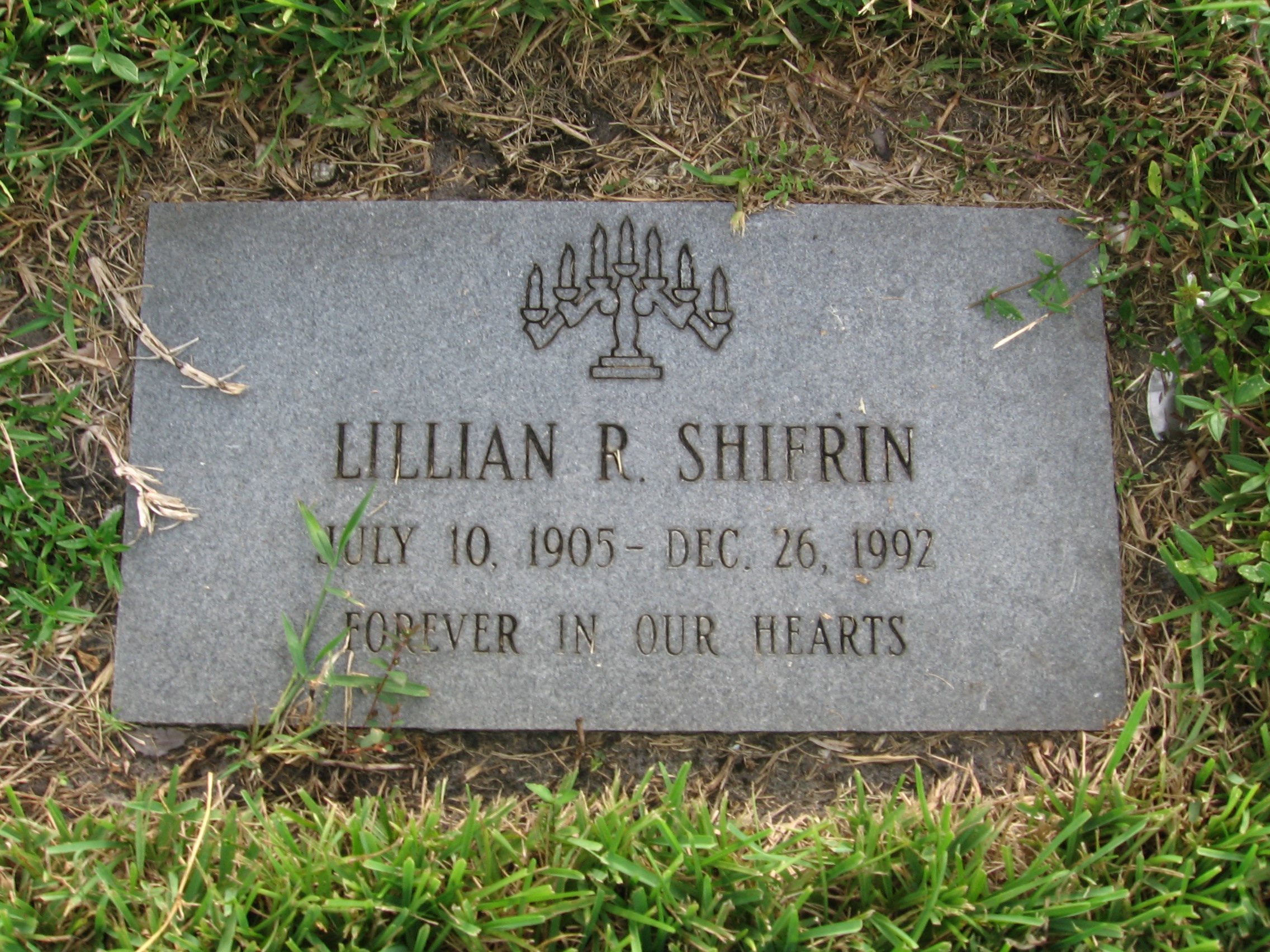 Lillian R Shifrin