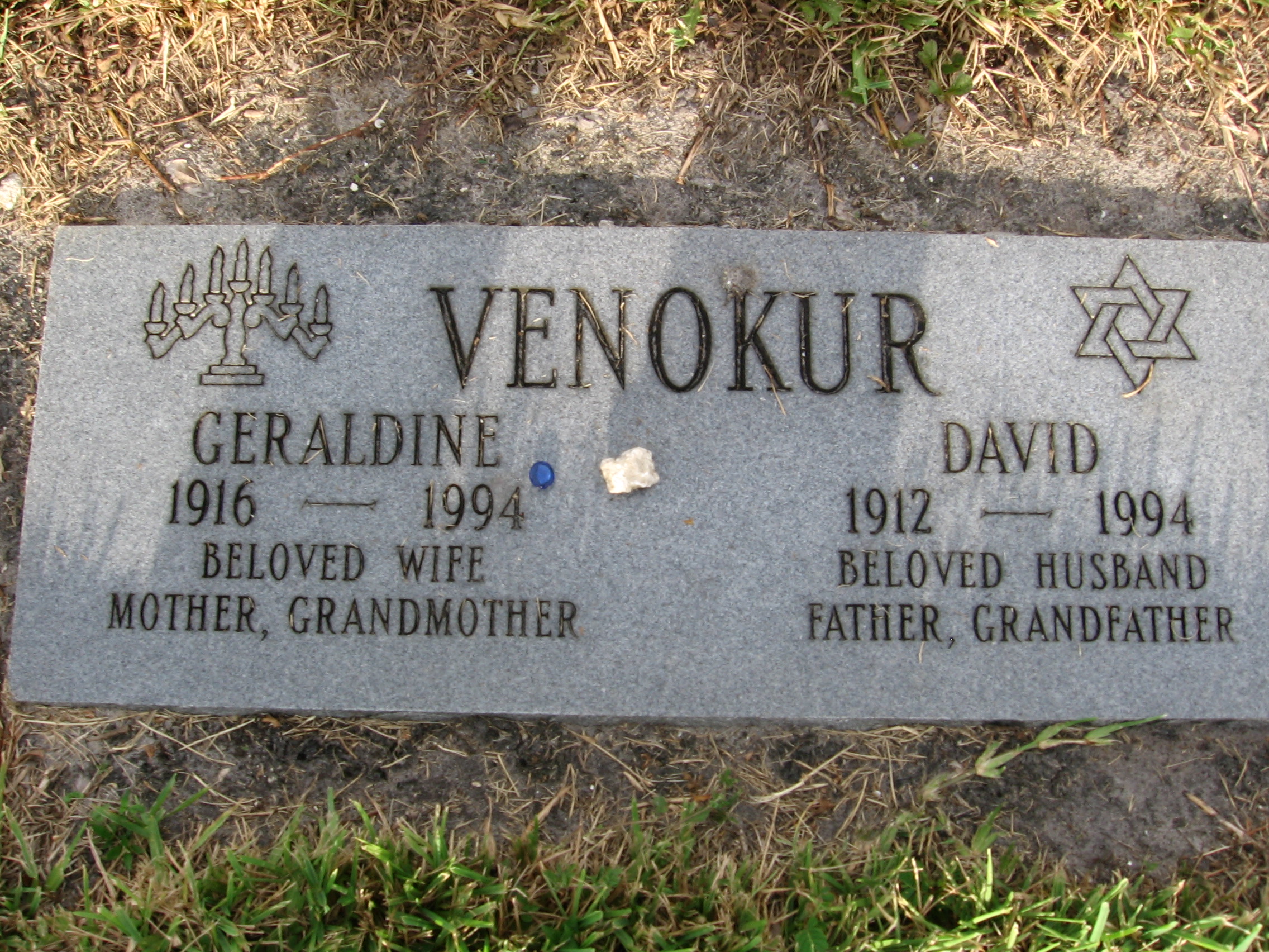 David Venokur