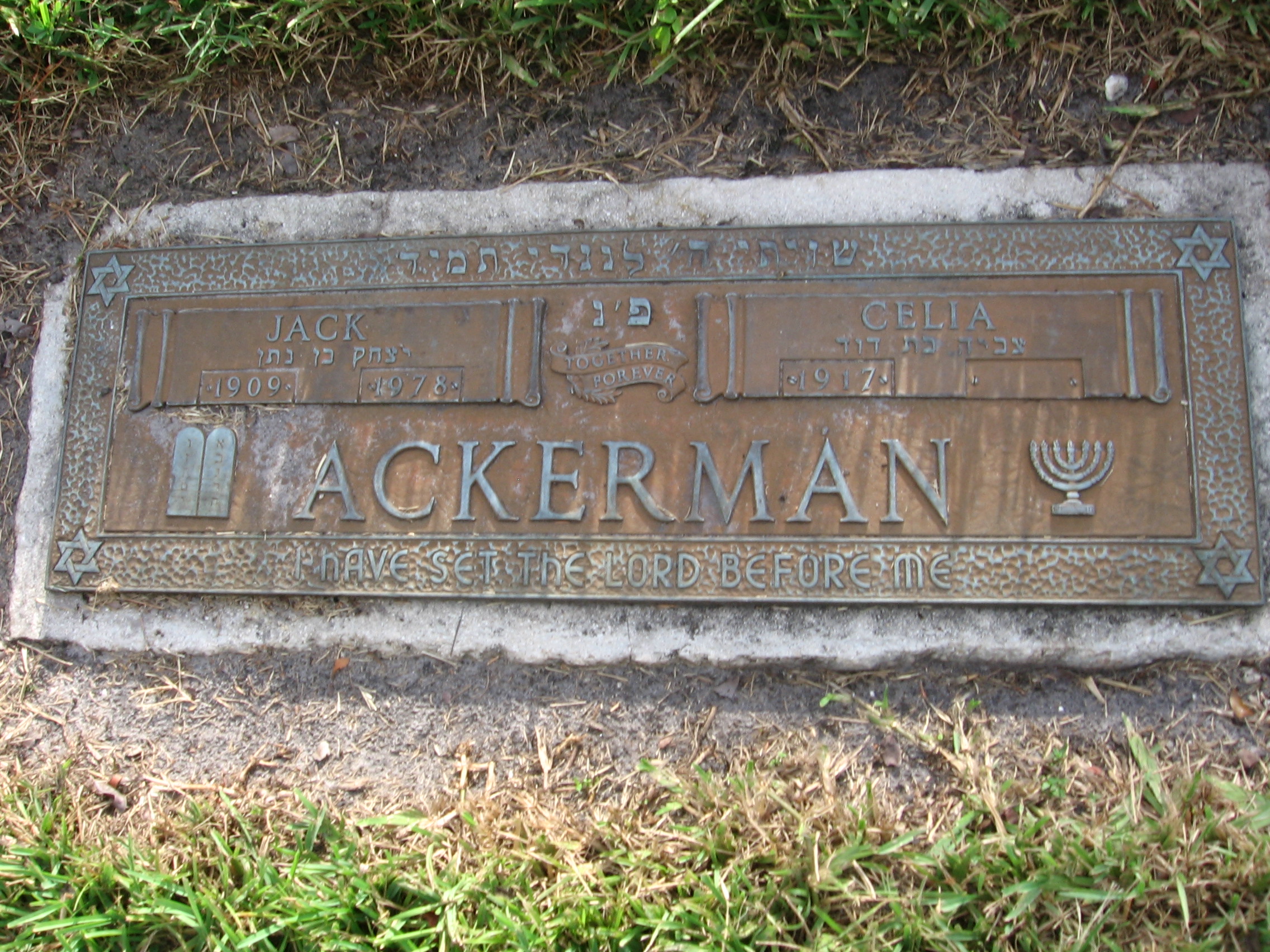 Jack Ackerman