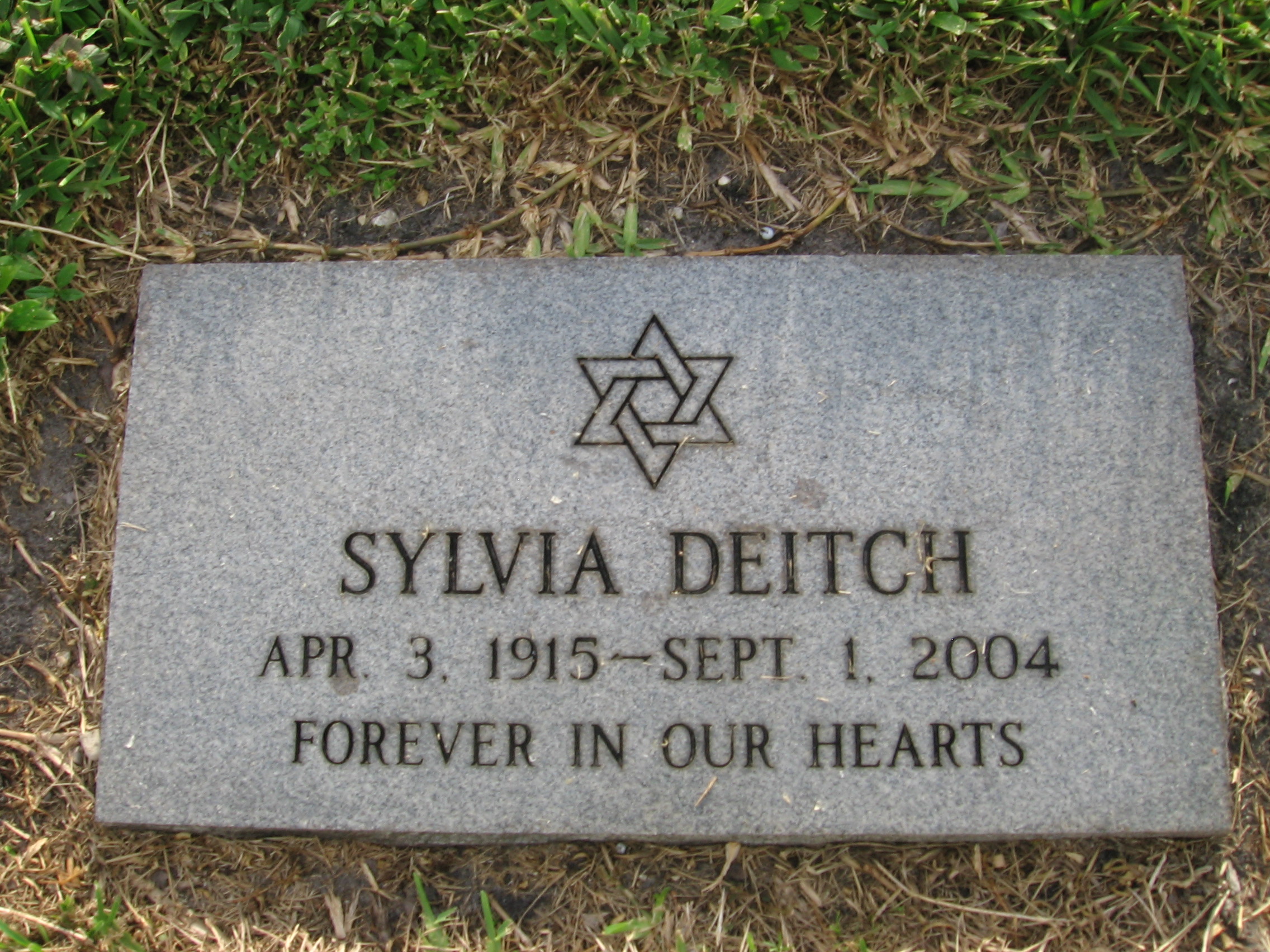 Sylvia Deitch