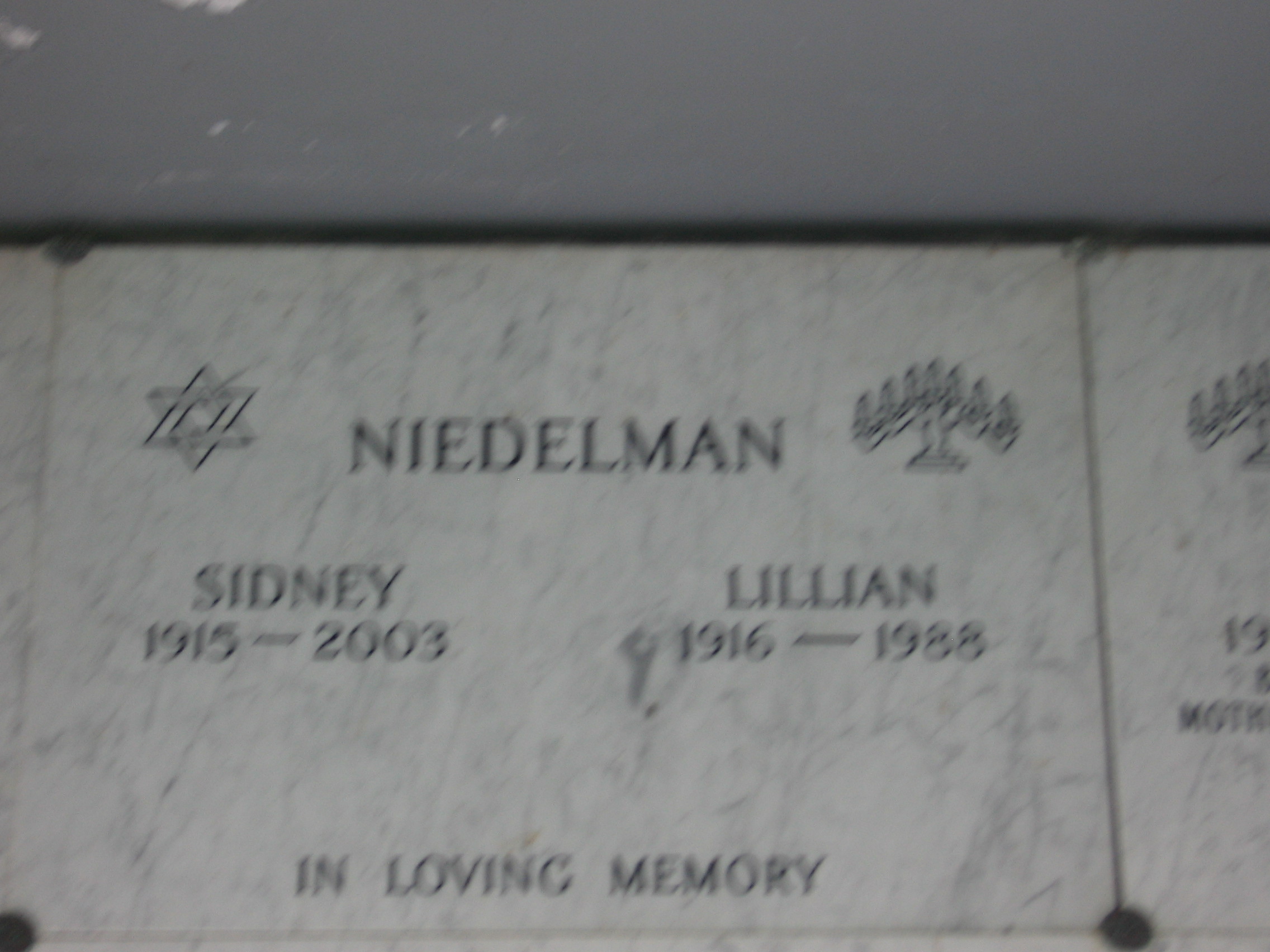 Lillian Niedelman