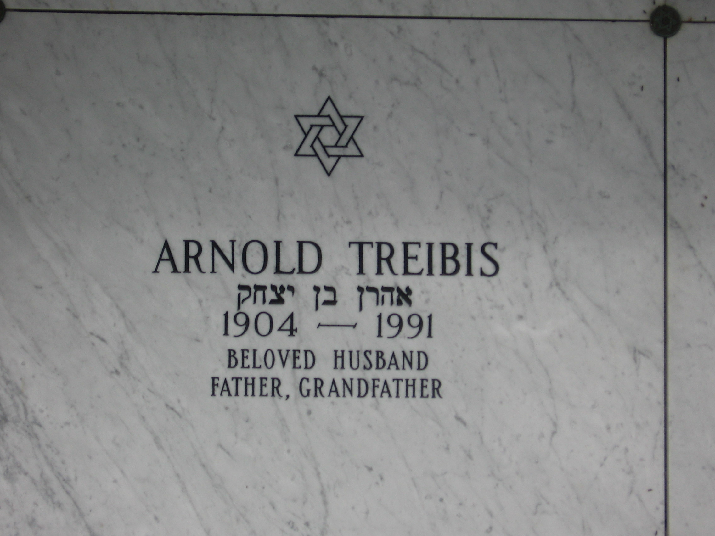 Arnold Treibis