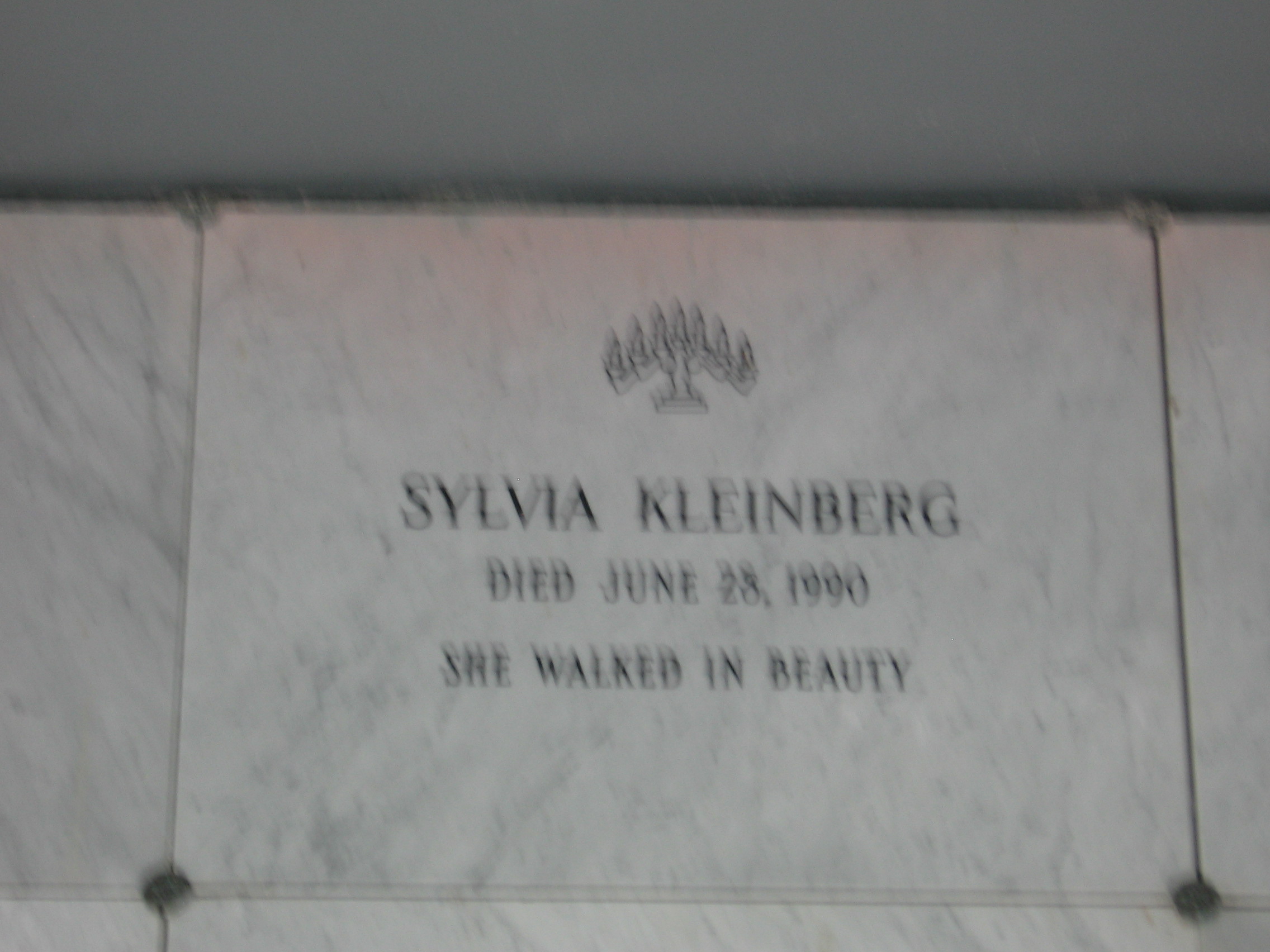 Sylvia Kleinberg