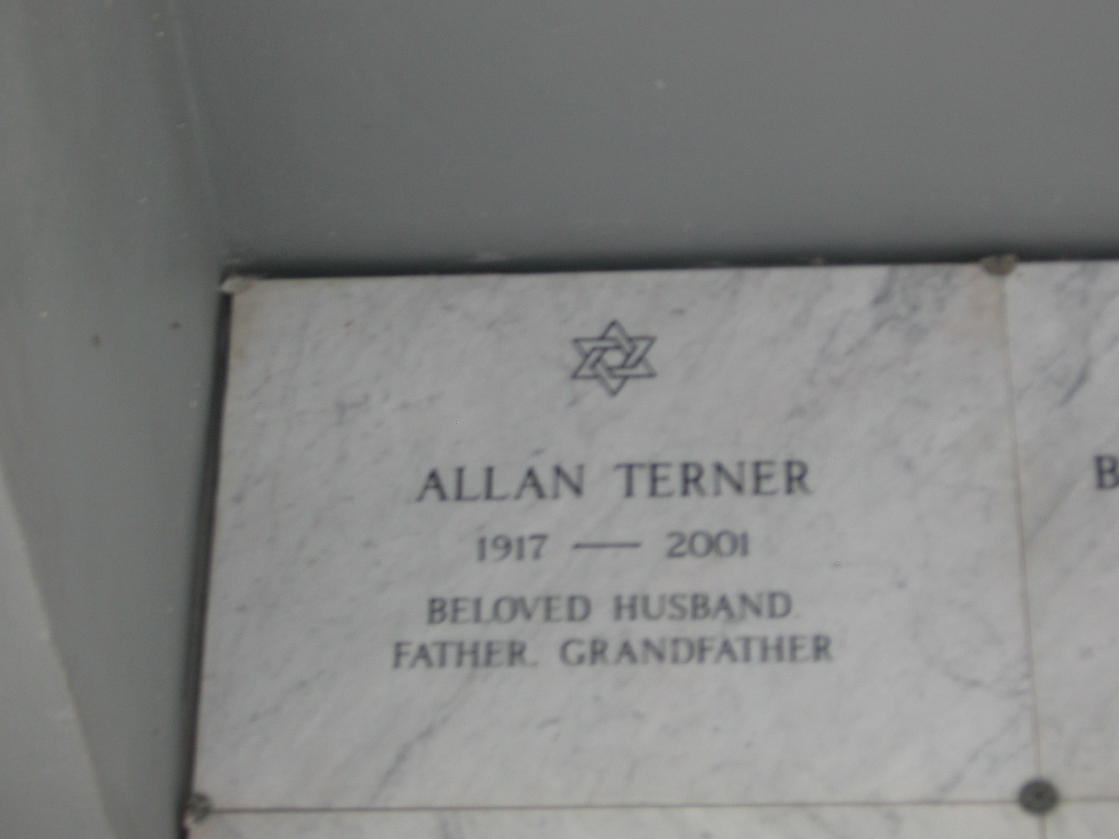 Allan Terner