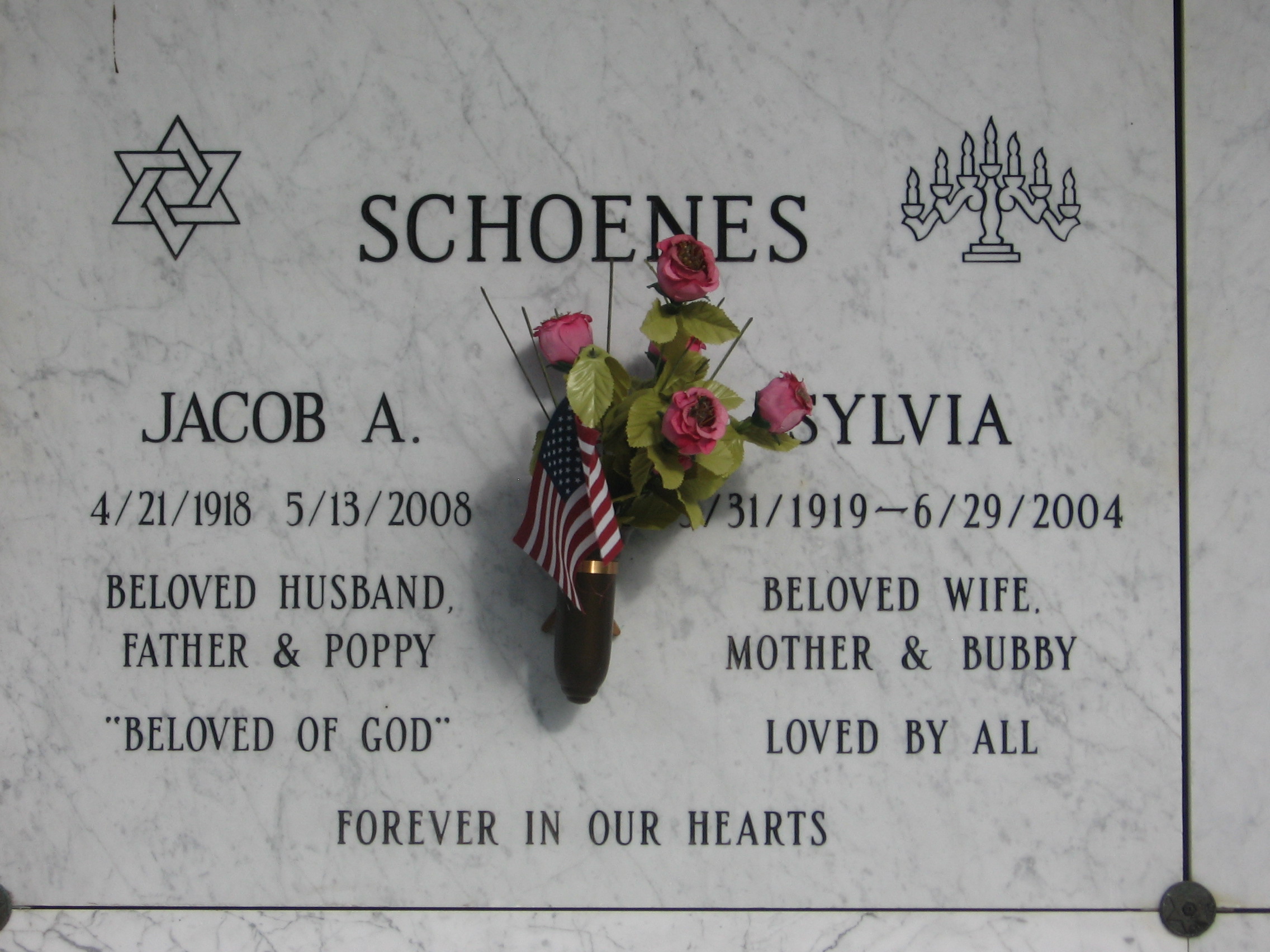 Jacob A Schoenes