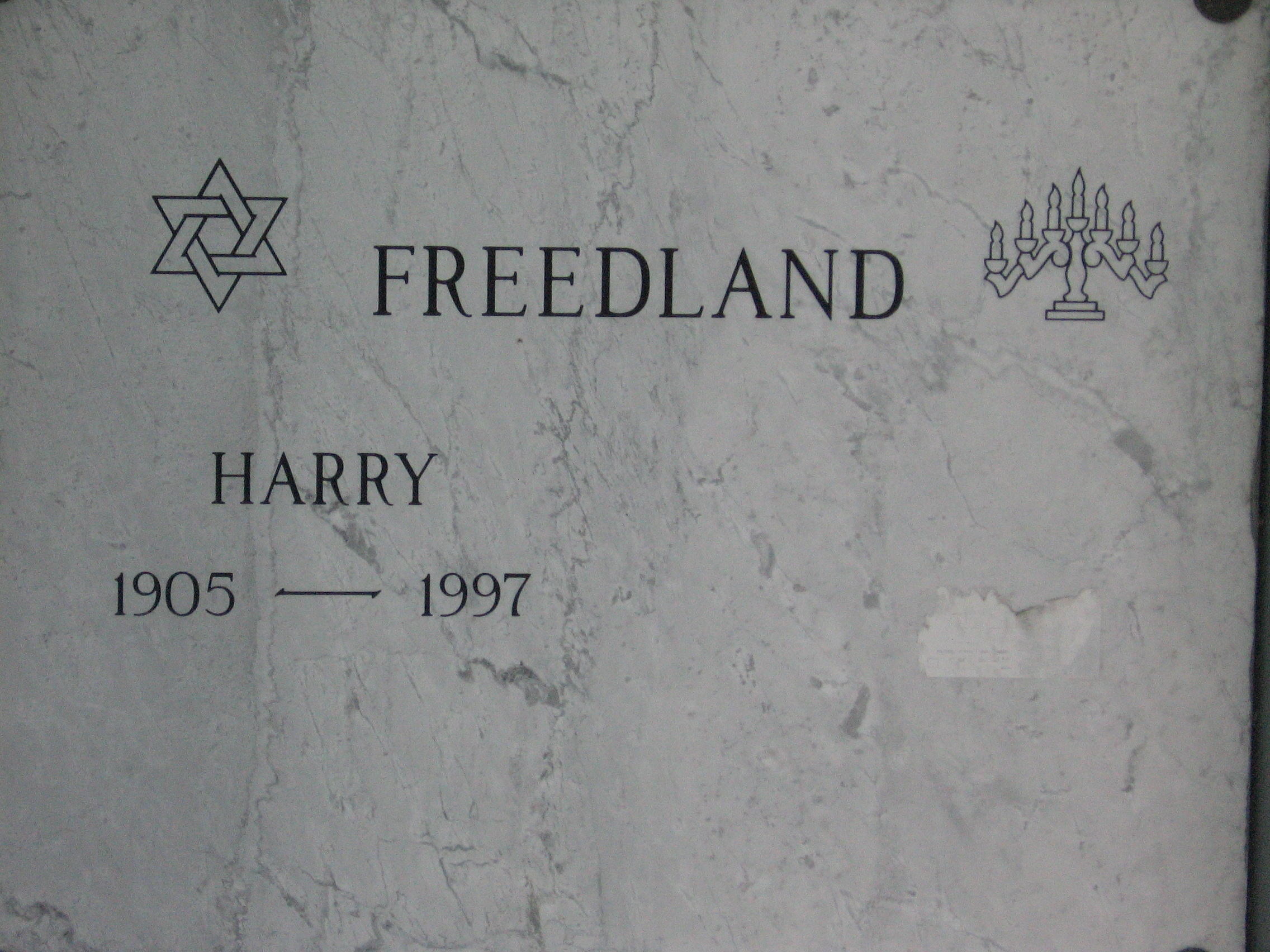 Harry Freedland