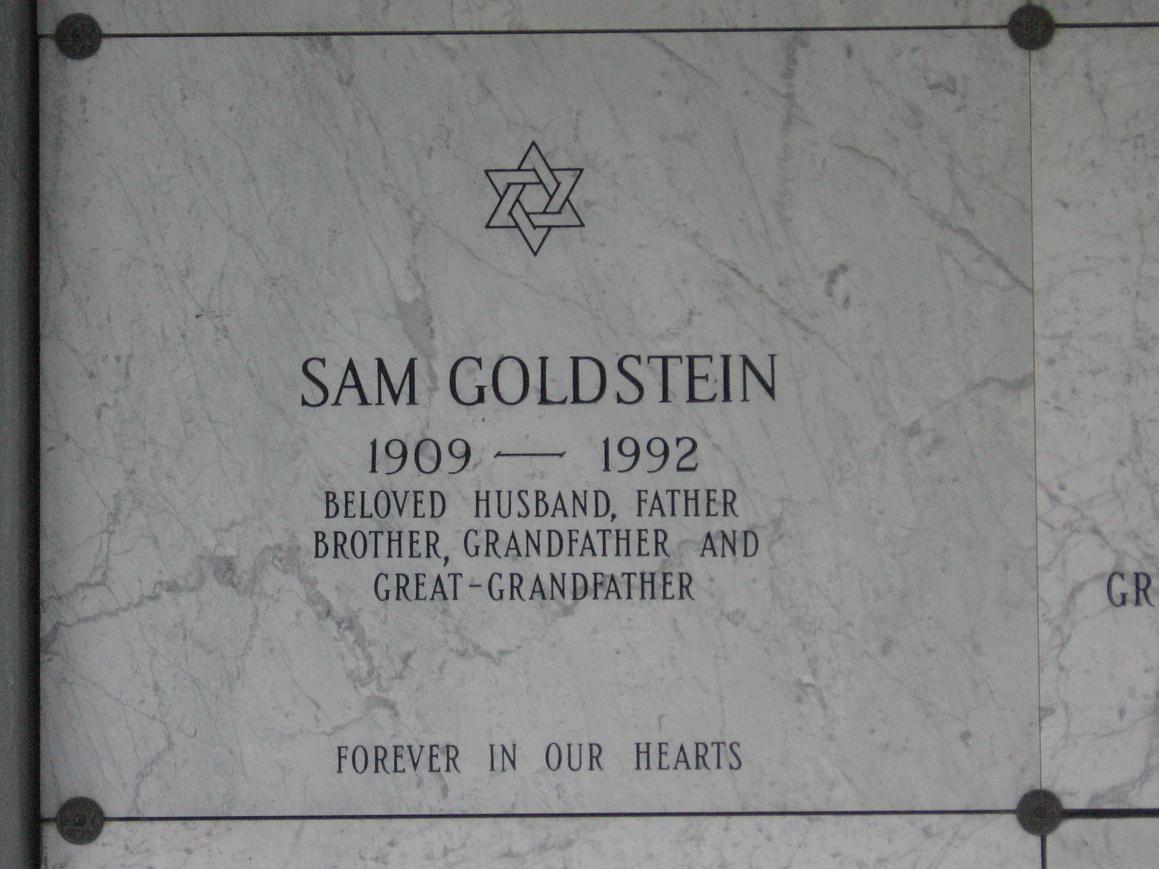 Sam Goldstein