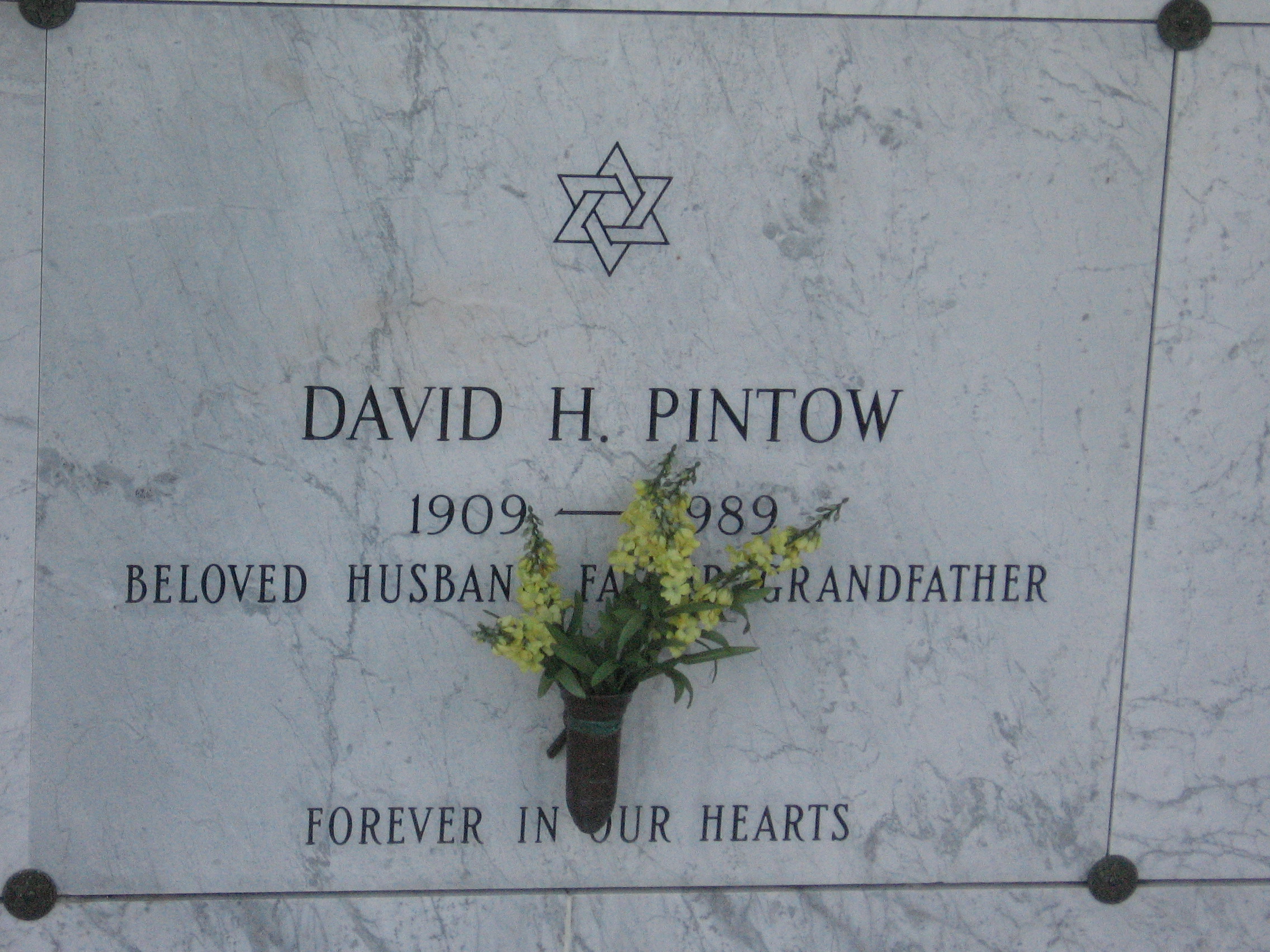 David H Pintow