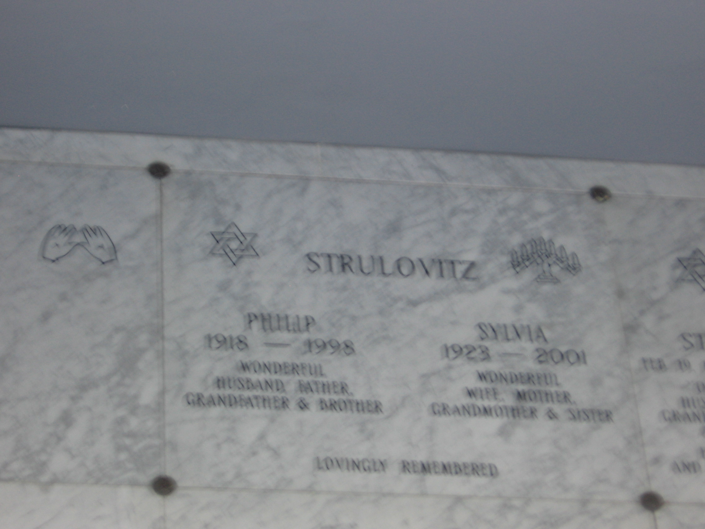 Phillip Strulovitz