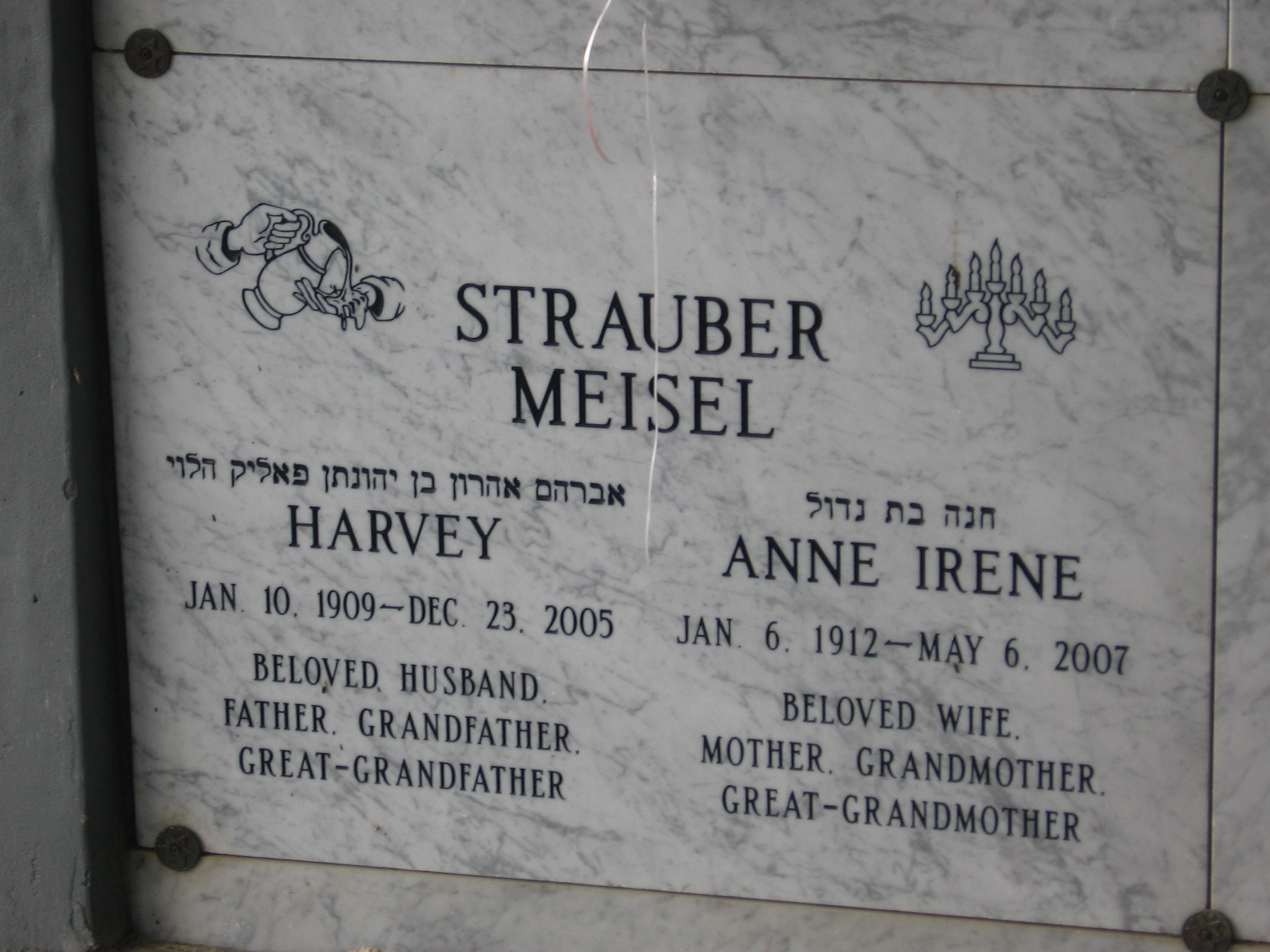 Anne Irene Strauber Meisel