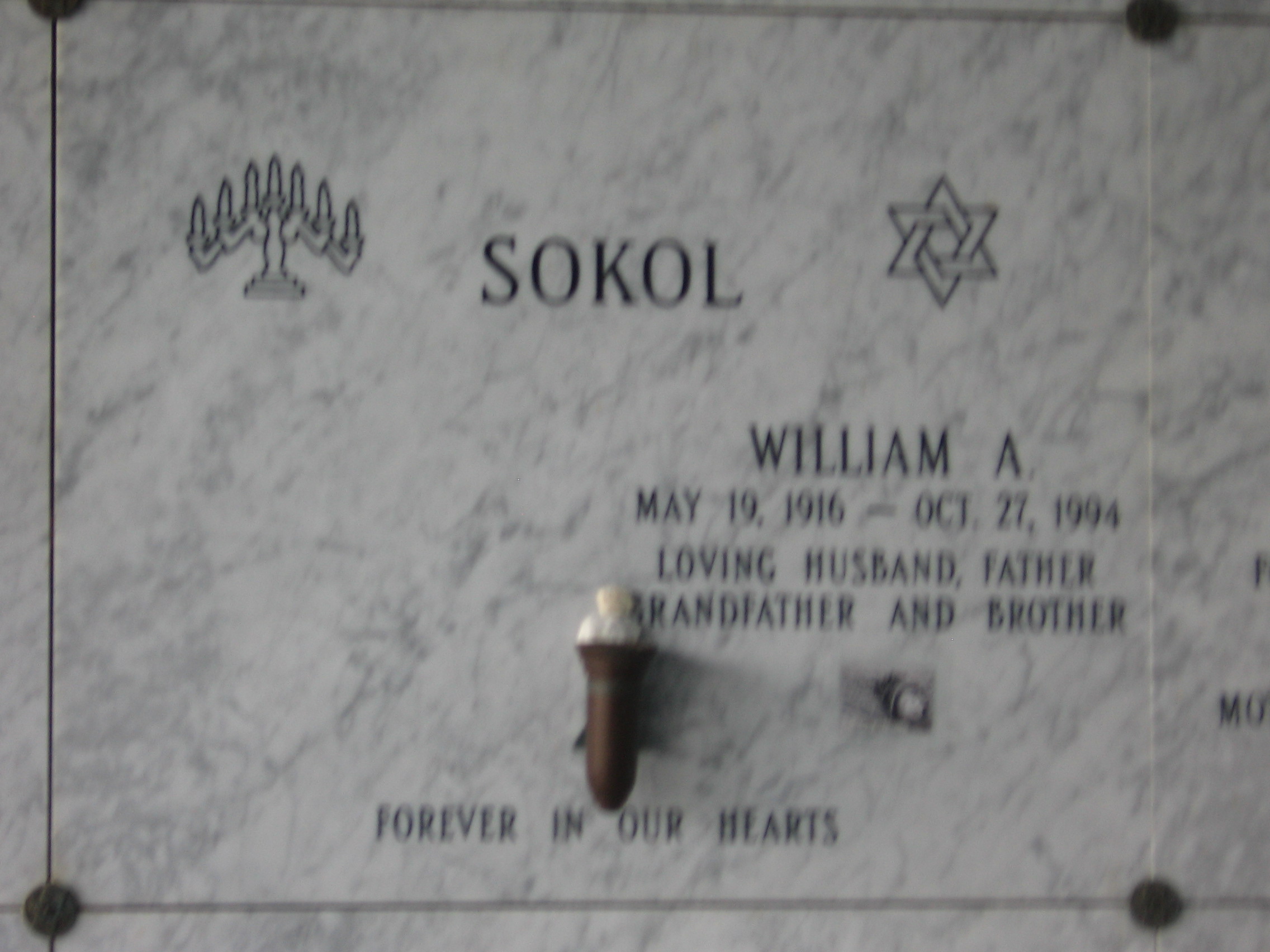 William A Sokol