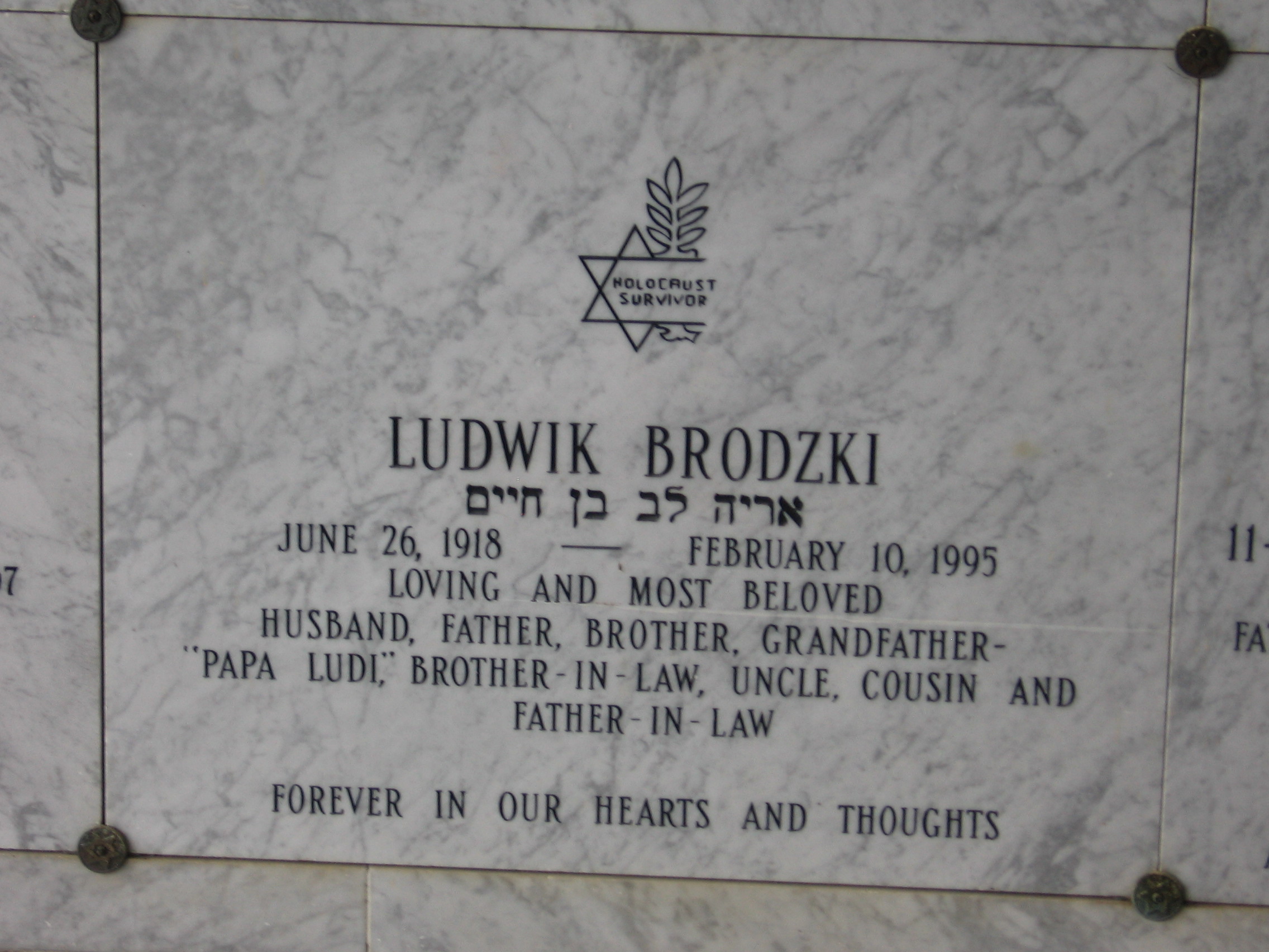 Ludwik Brodzki