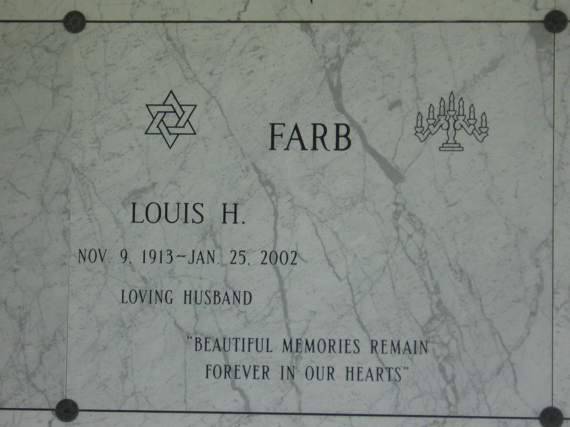 Louis H Farb