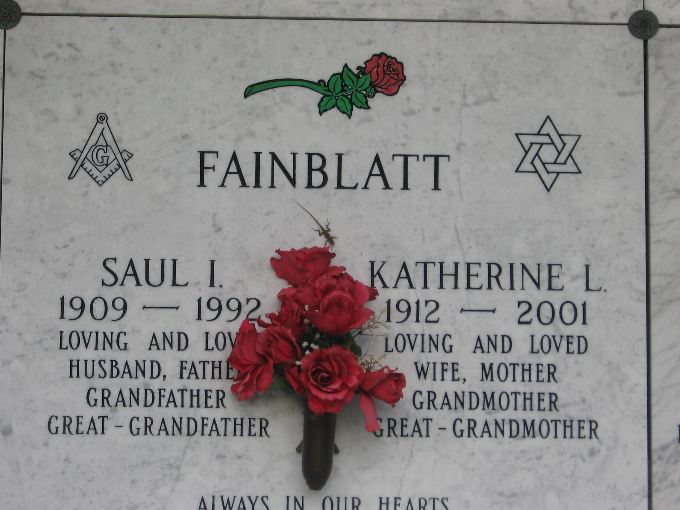 Katherine L Fainblatt