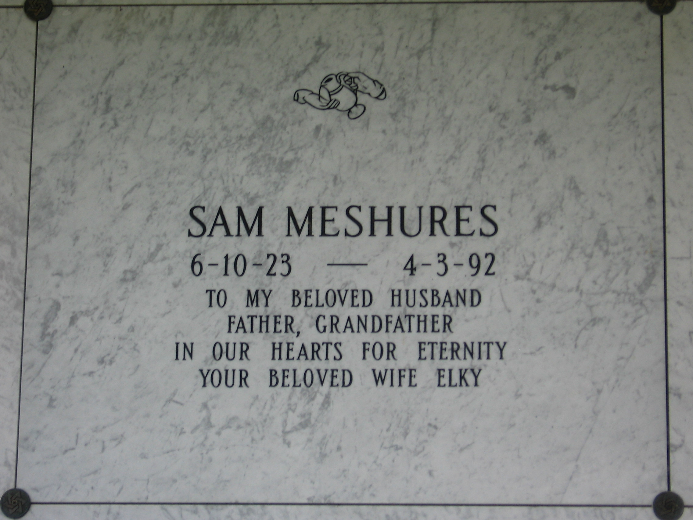 Sam Meshures