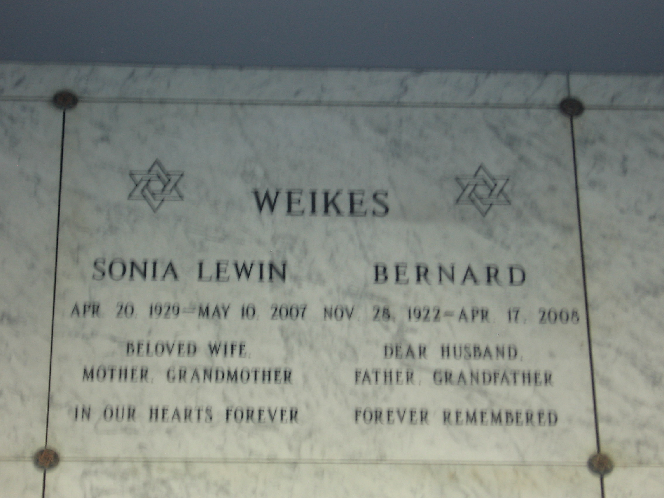 Sonia Lewin Weikes