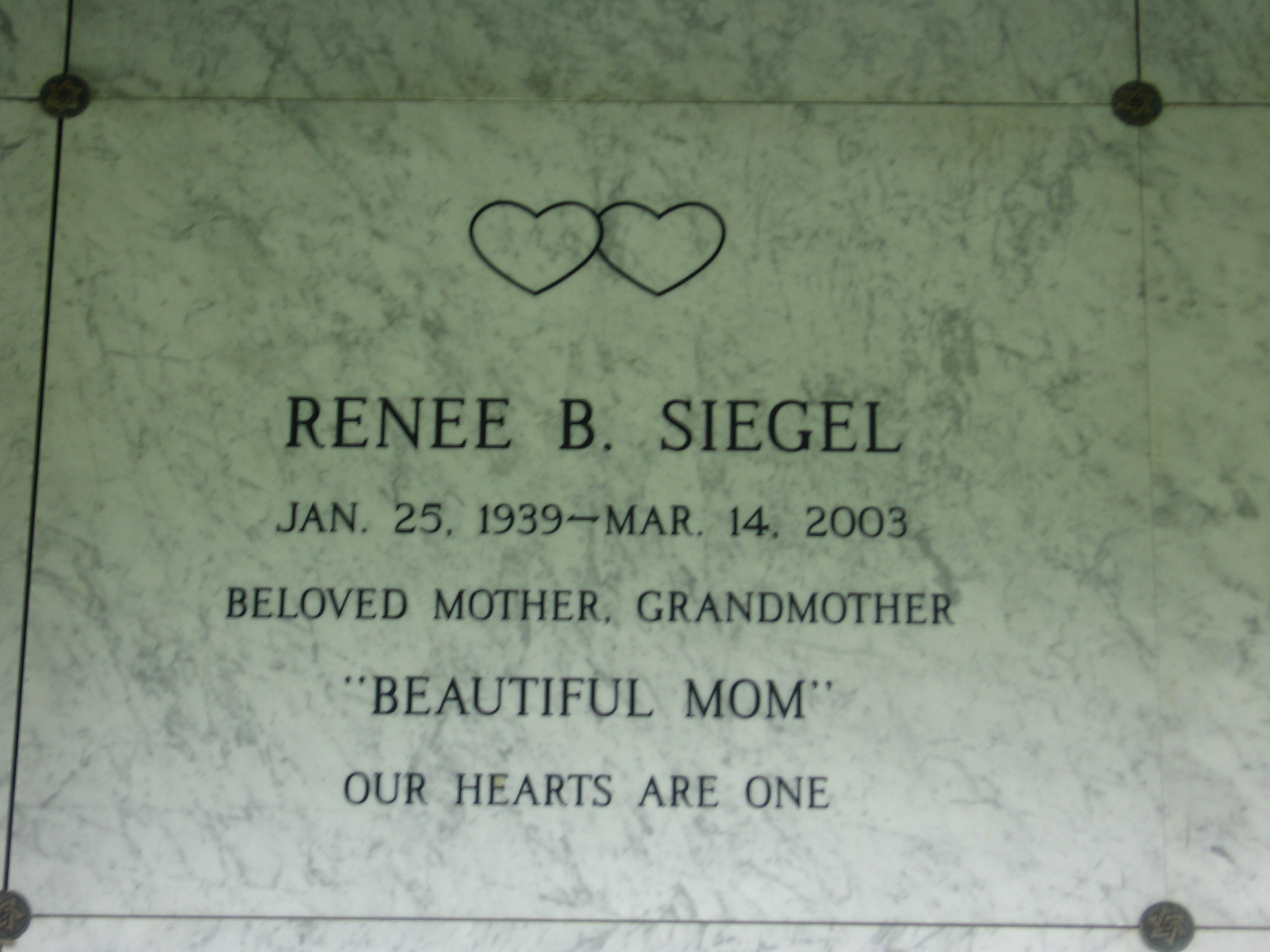 Renee B Siegel