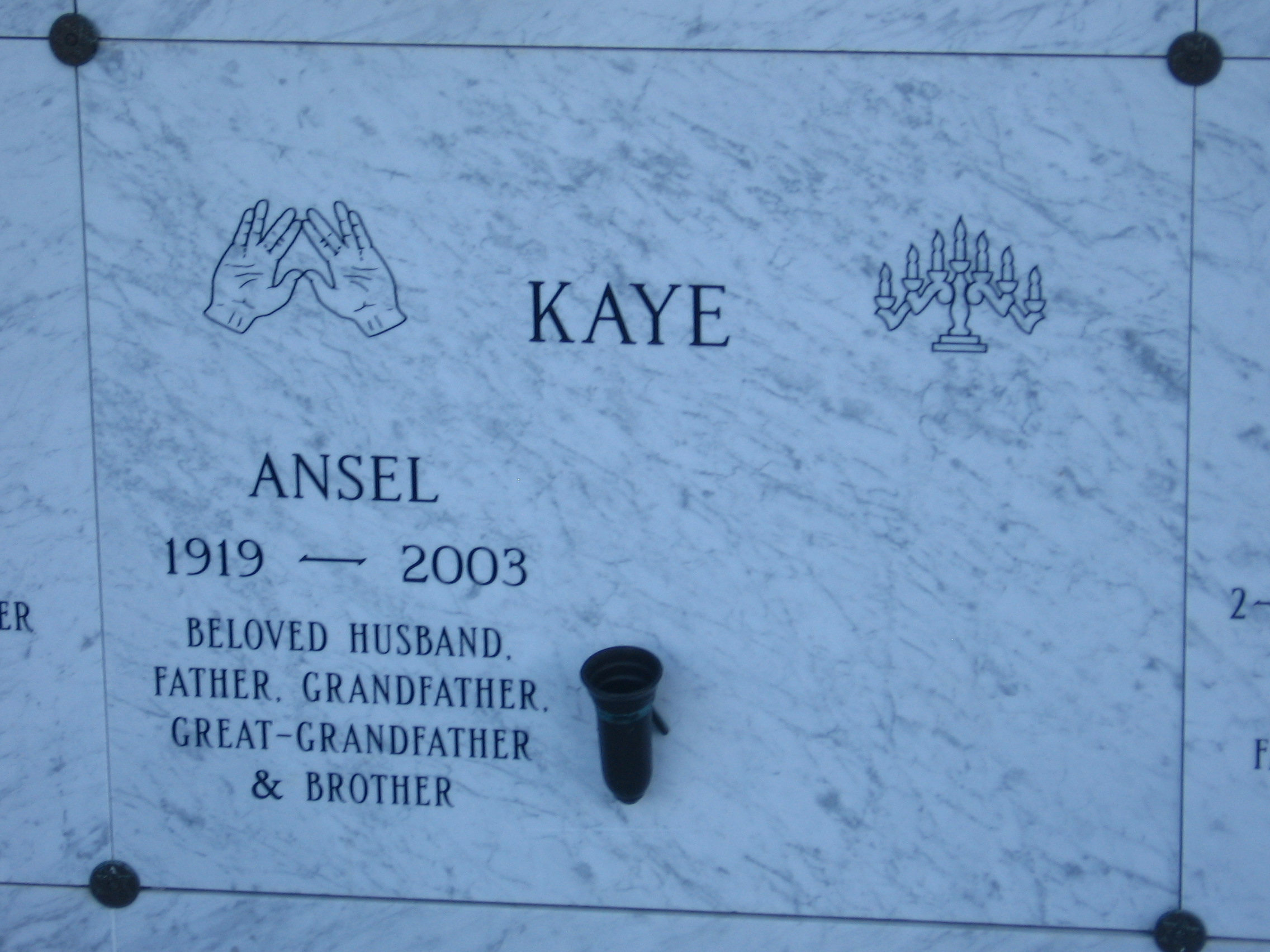 Ansel Kaye