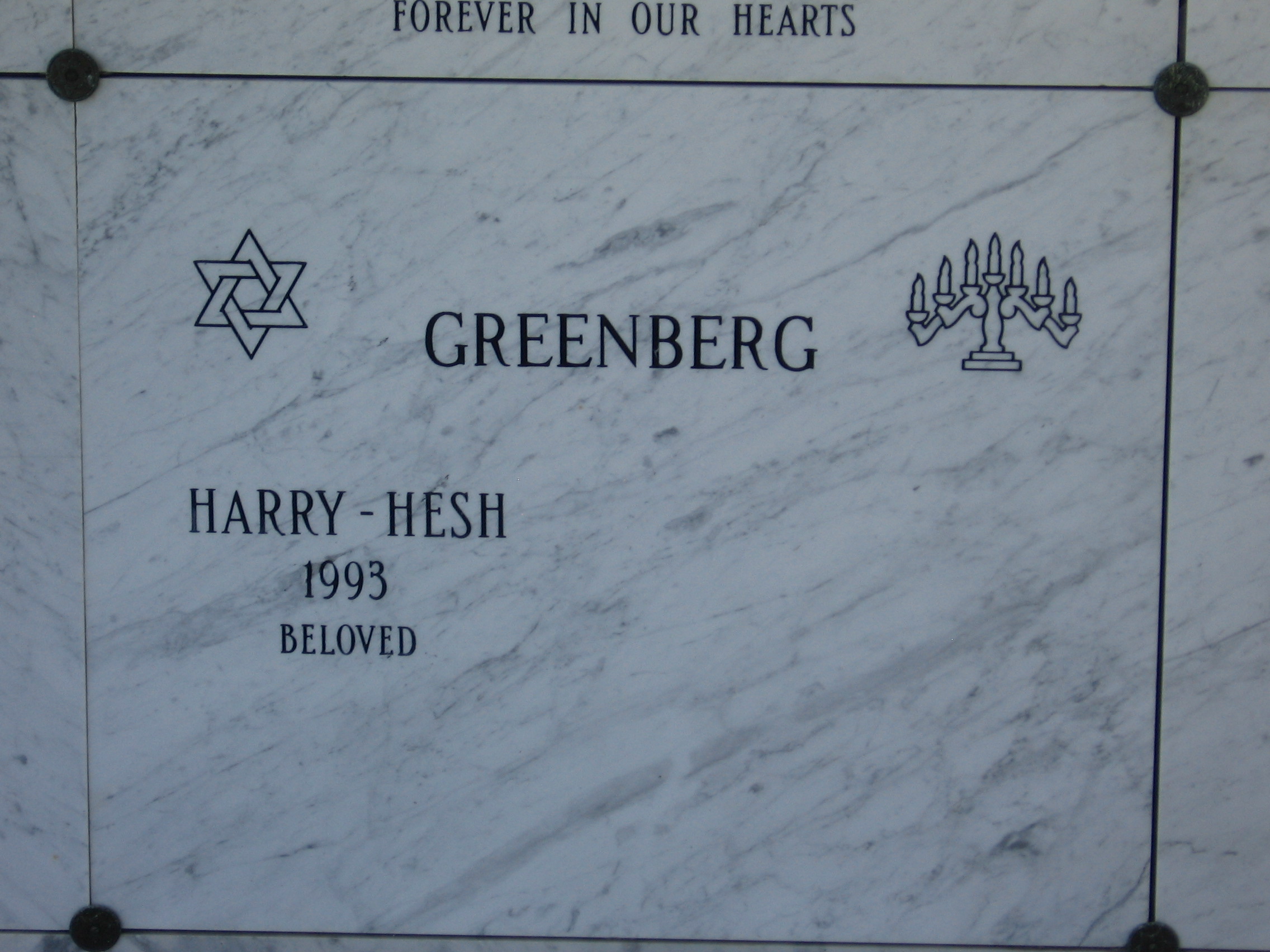 Harry Hesh Greenberg