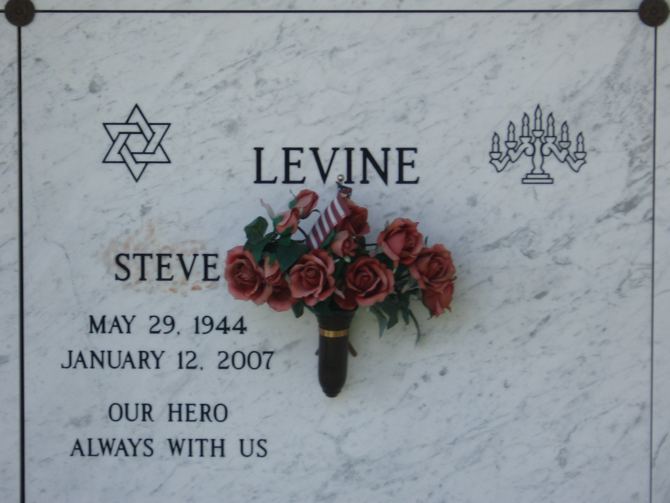 Steve Levine