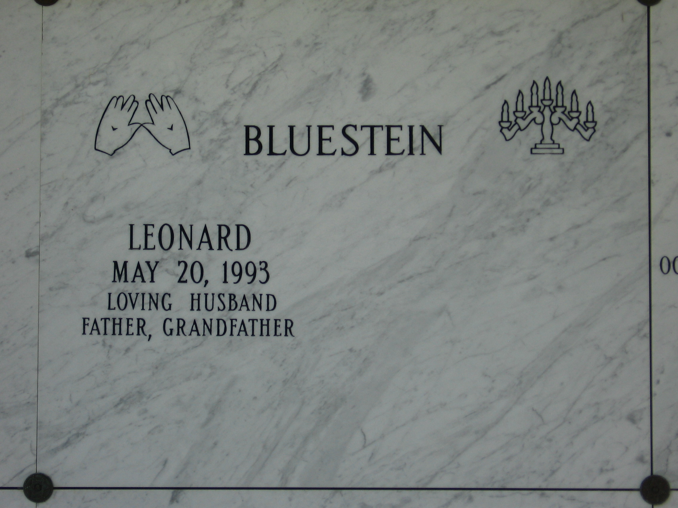 Leonard Bluestein