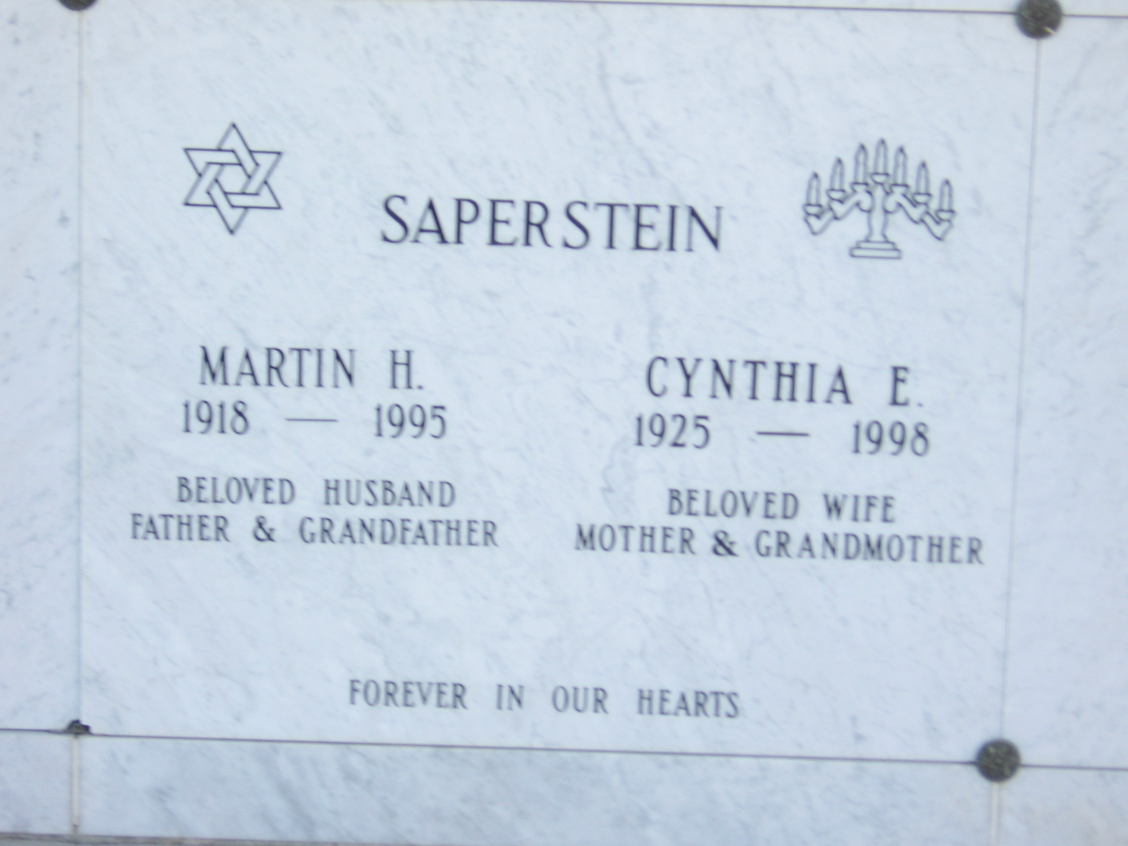 Cynthia E Saperstein