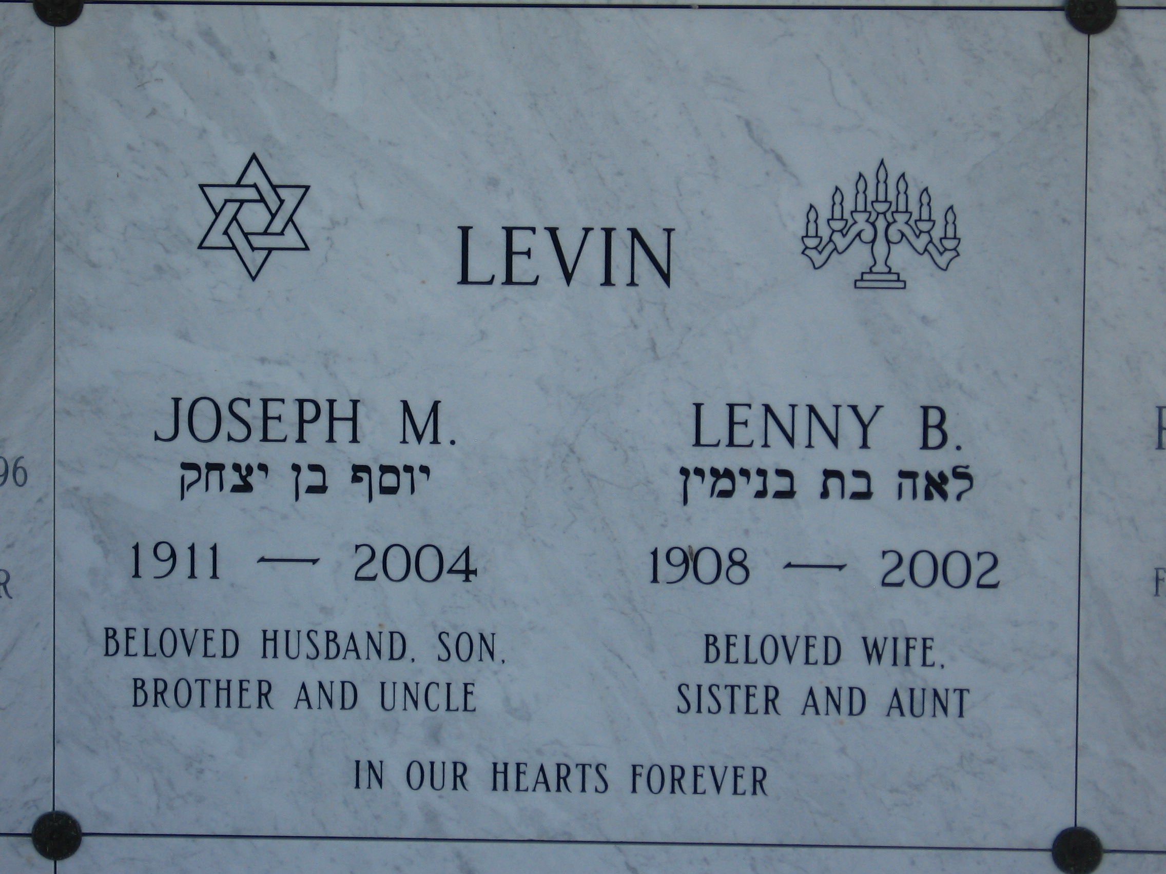 Joseph M Levin