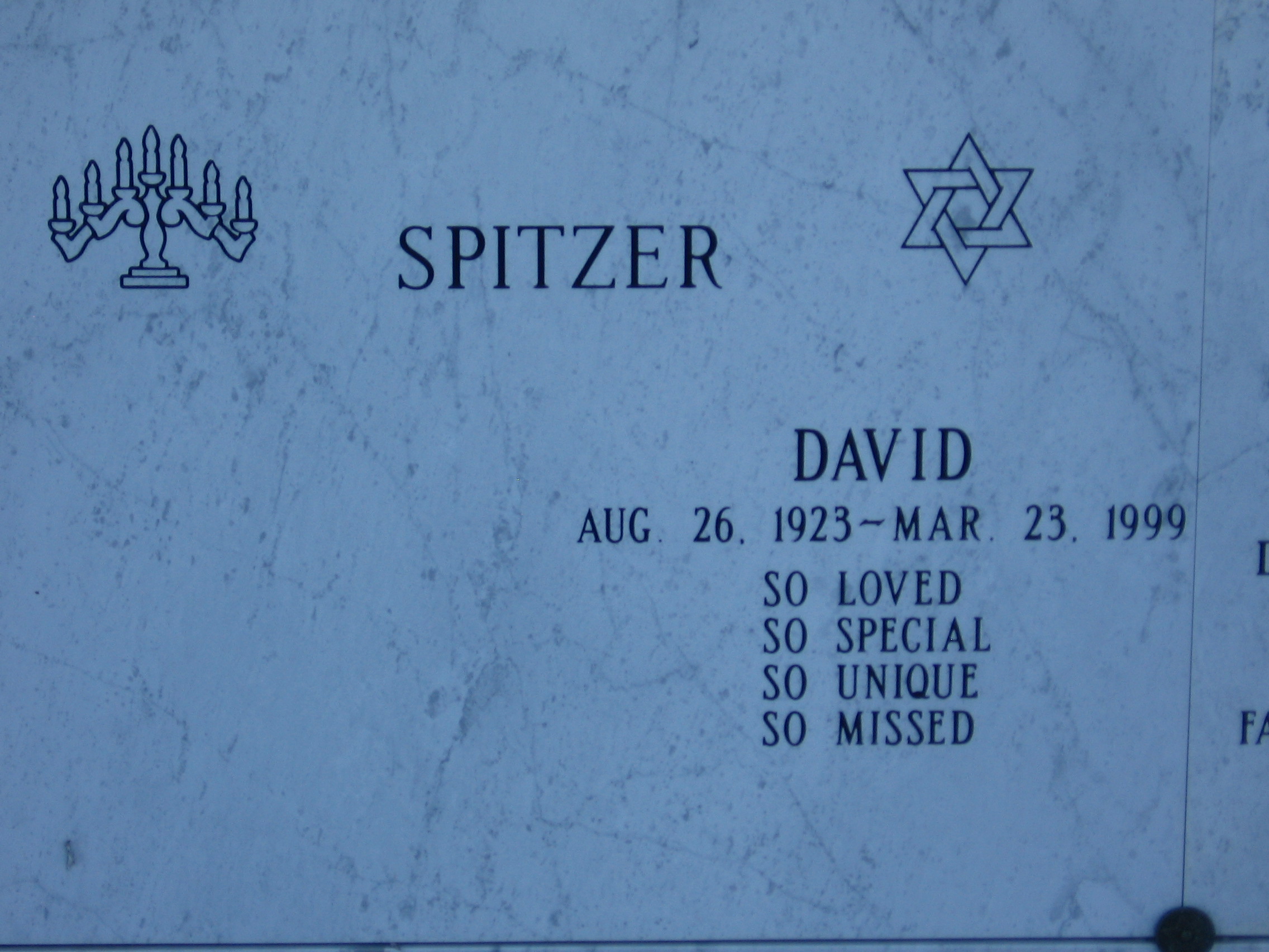 David Spitzer
