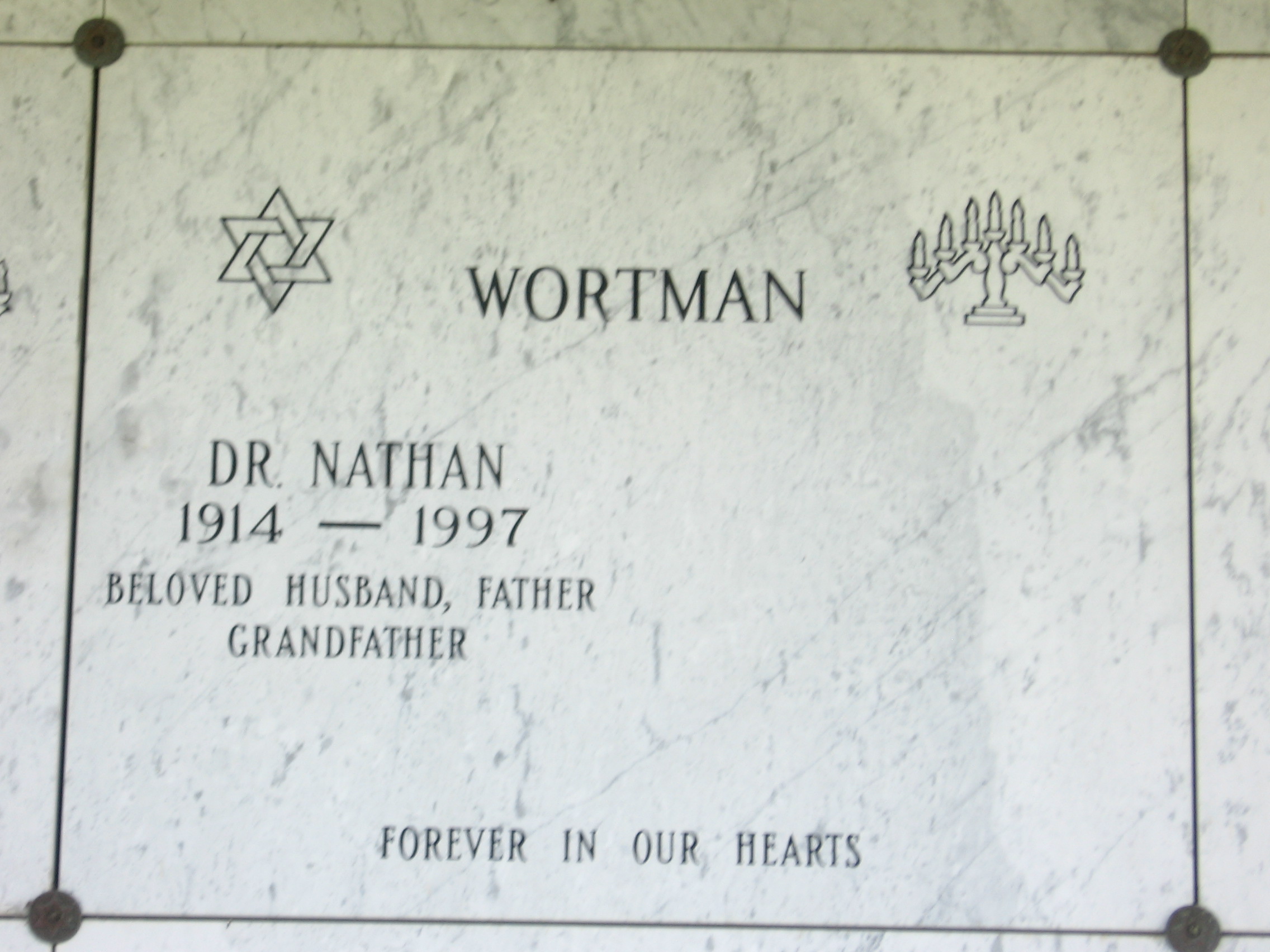 Dr Nathan Wortman