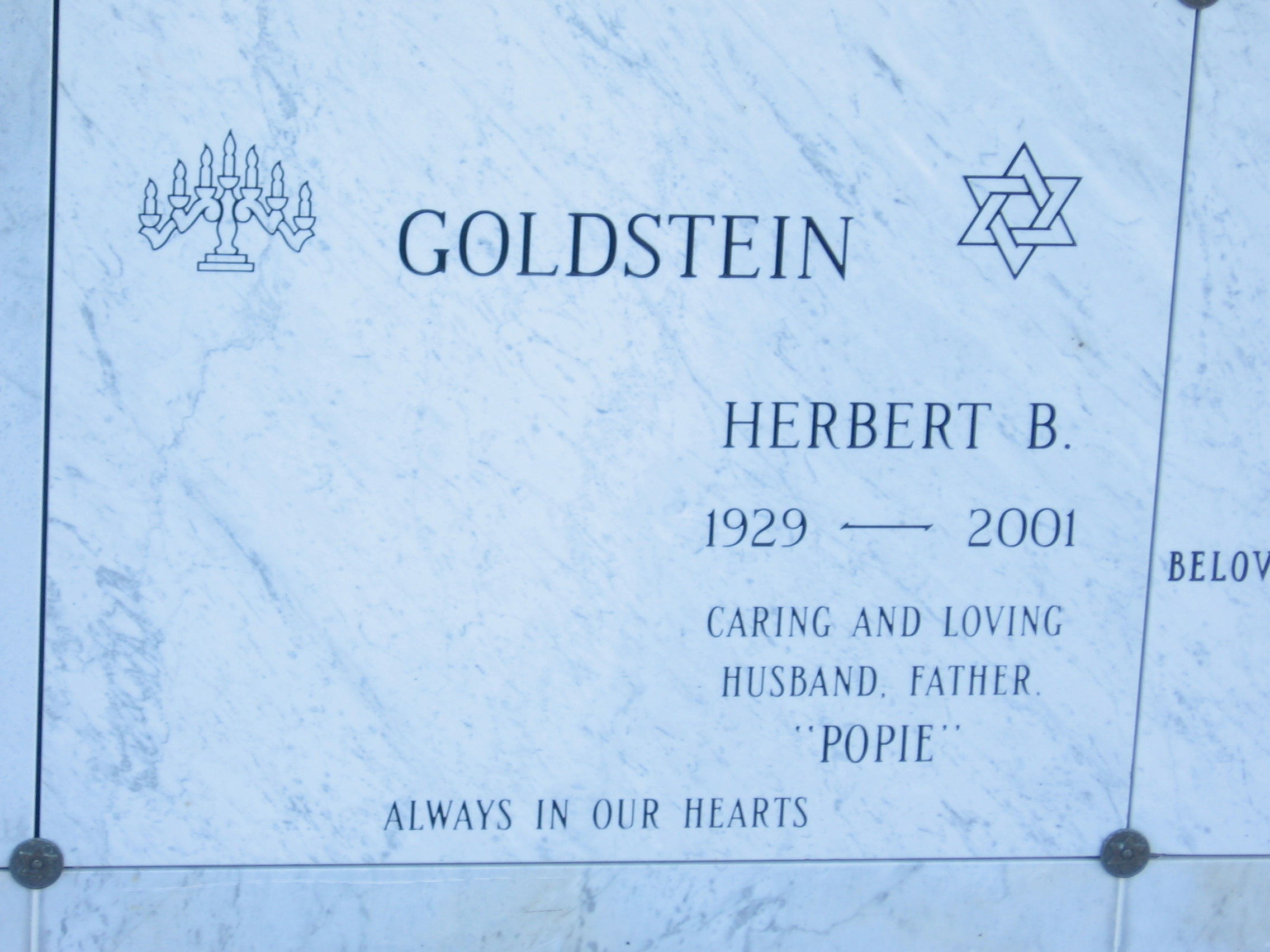 Herbert B Goldstein