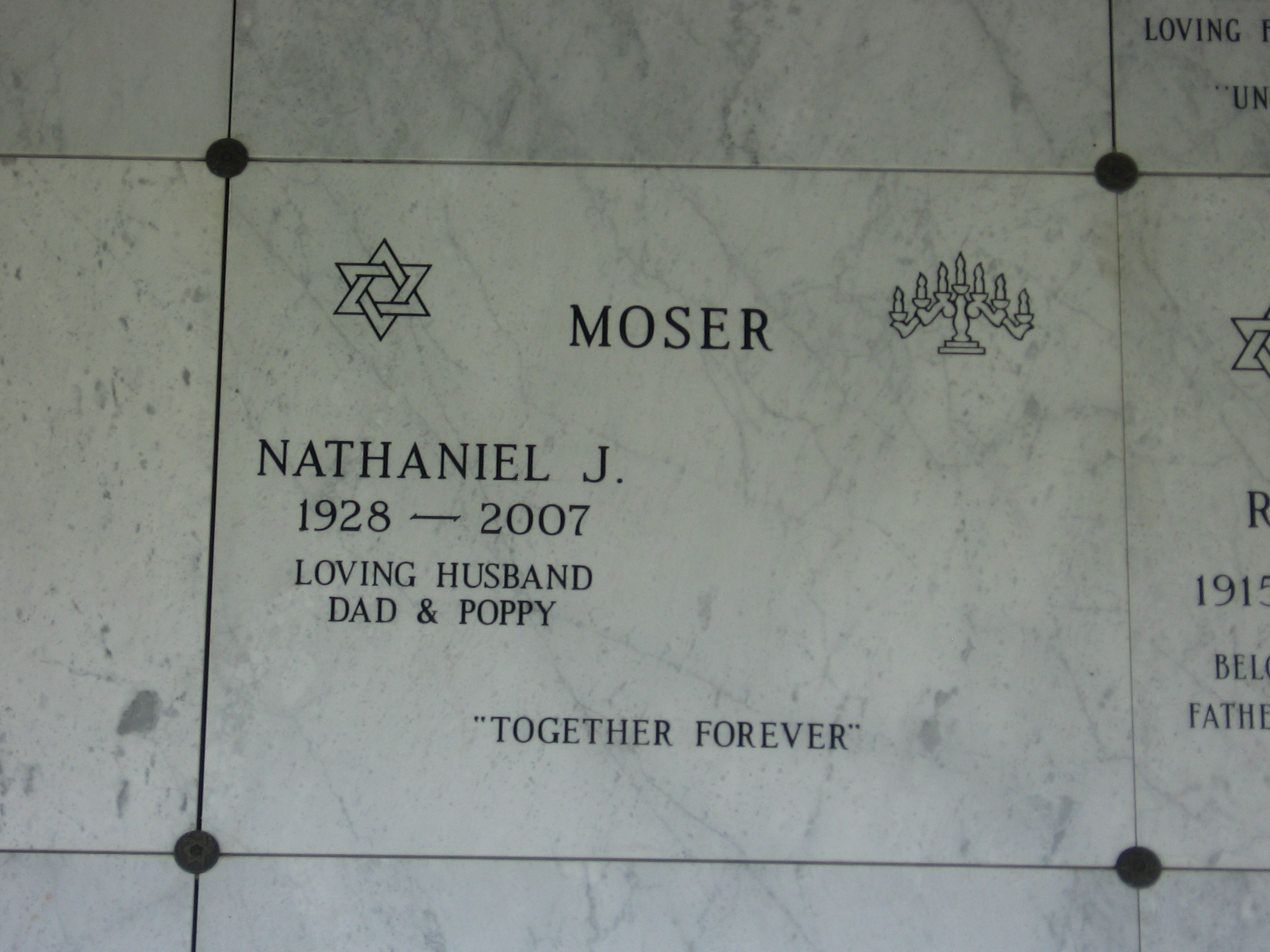 Nathaniel J Moser