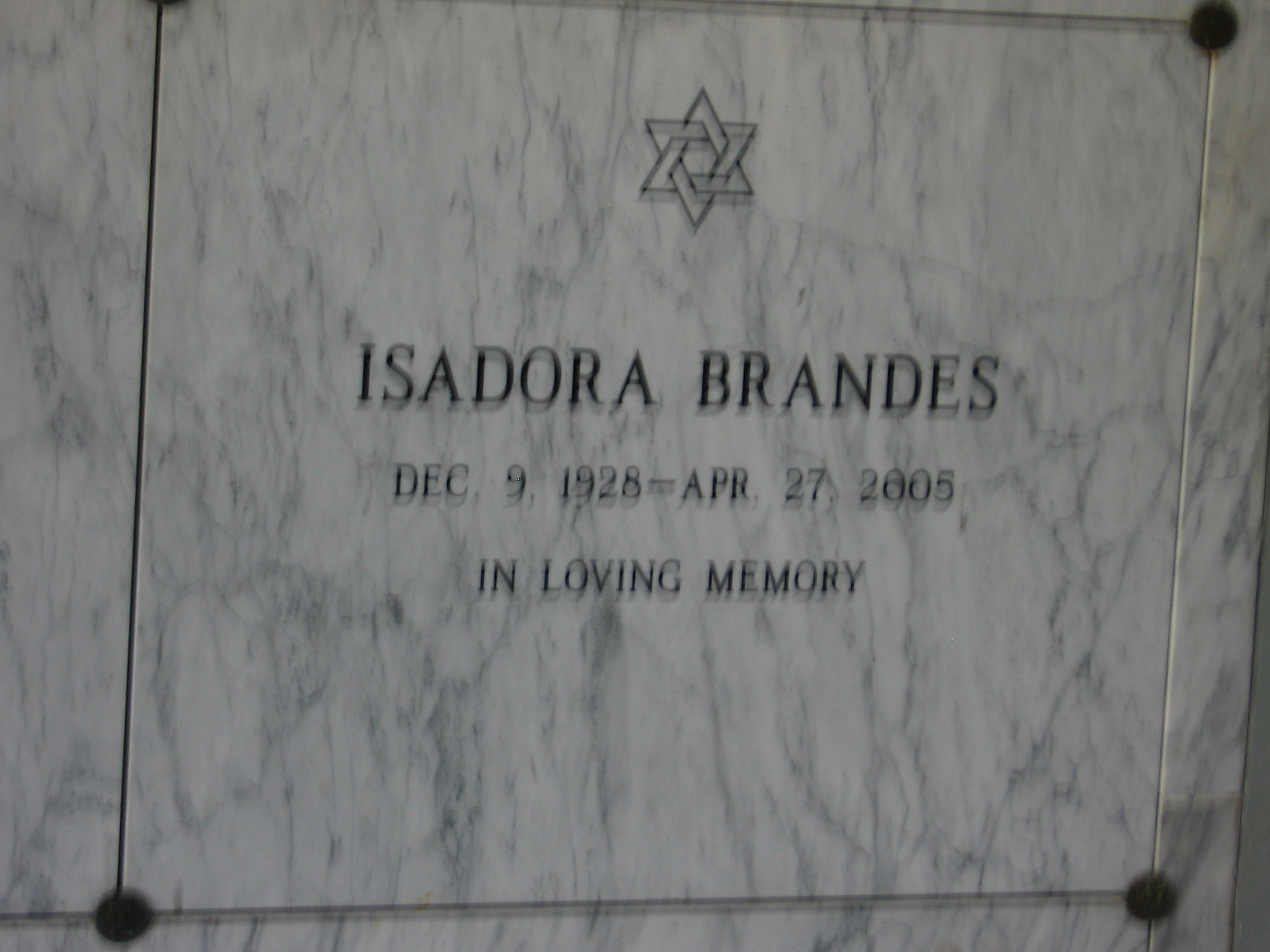 Isadora Brandes