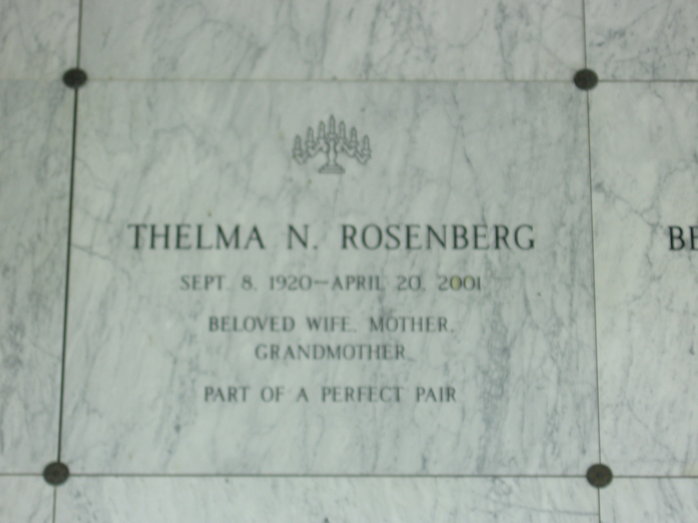 Thelma N Rosenberg