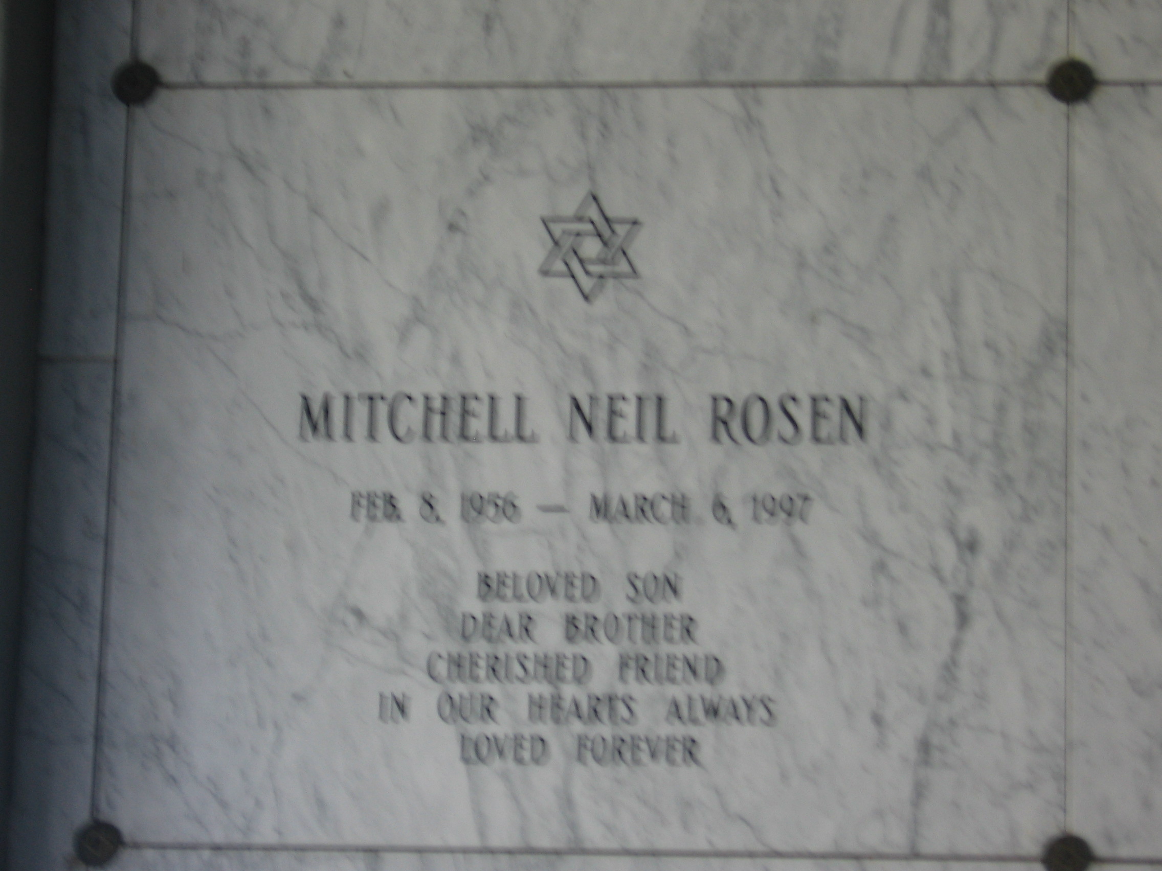 Mitchell Neil Rosen