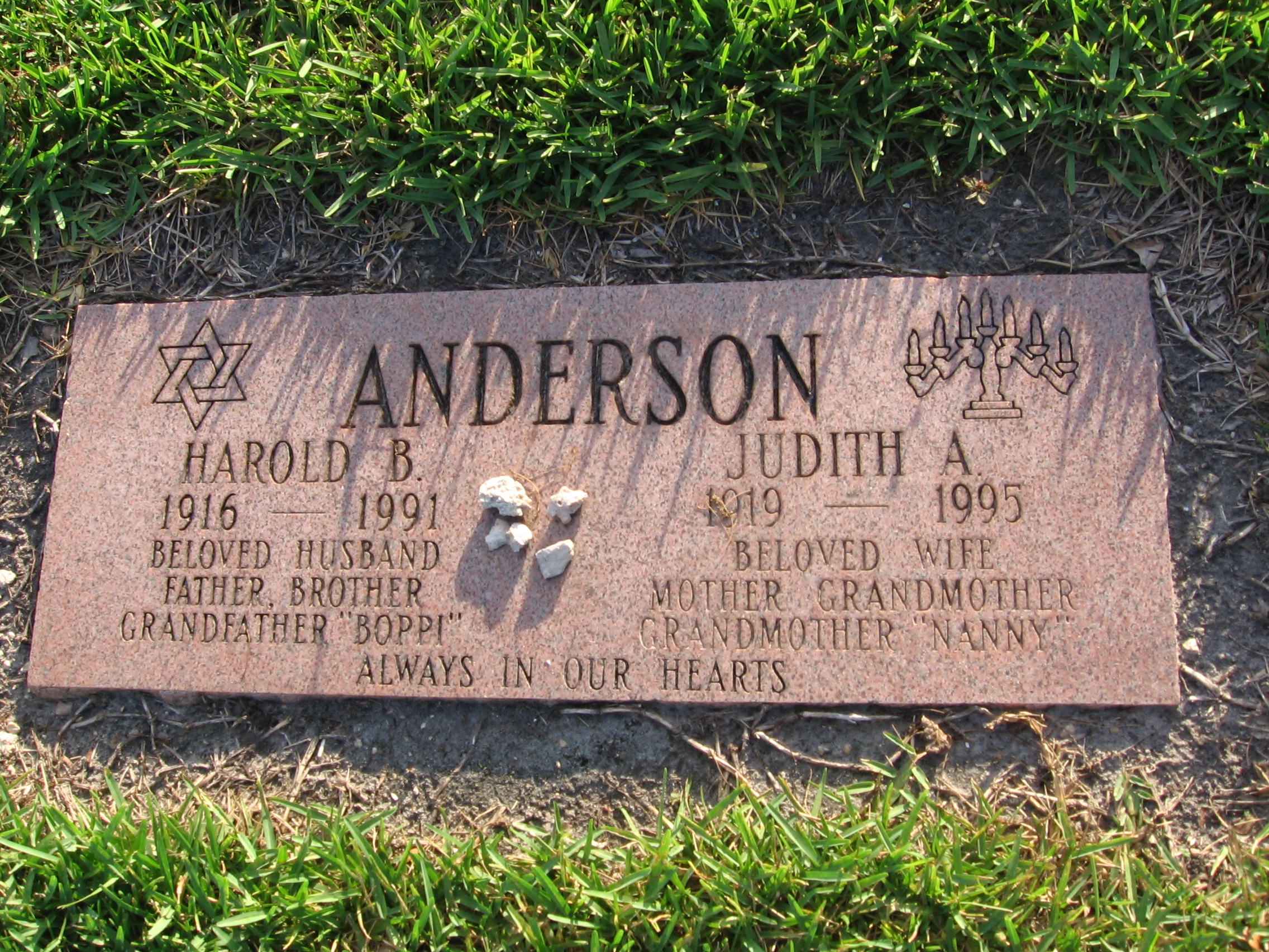 Harold B Anderson