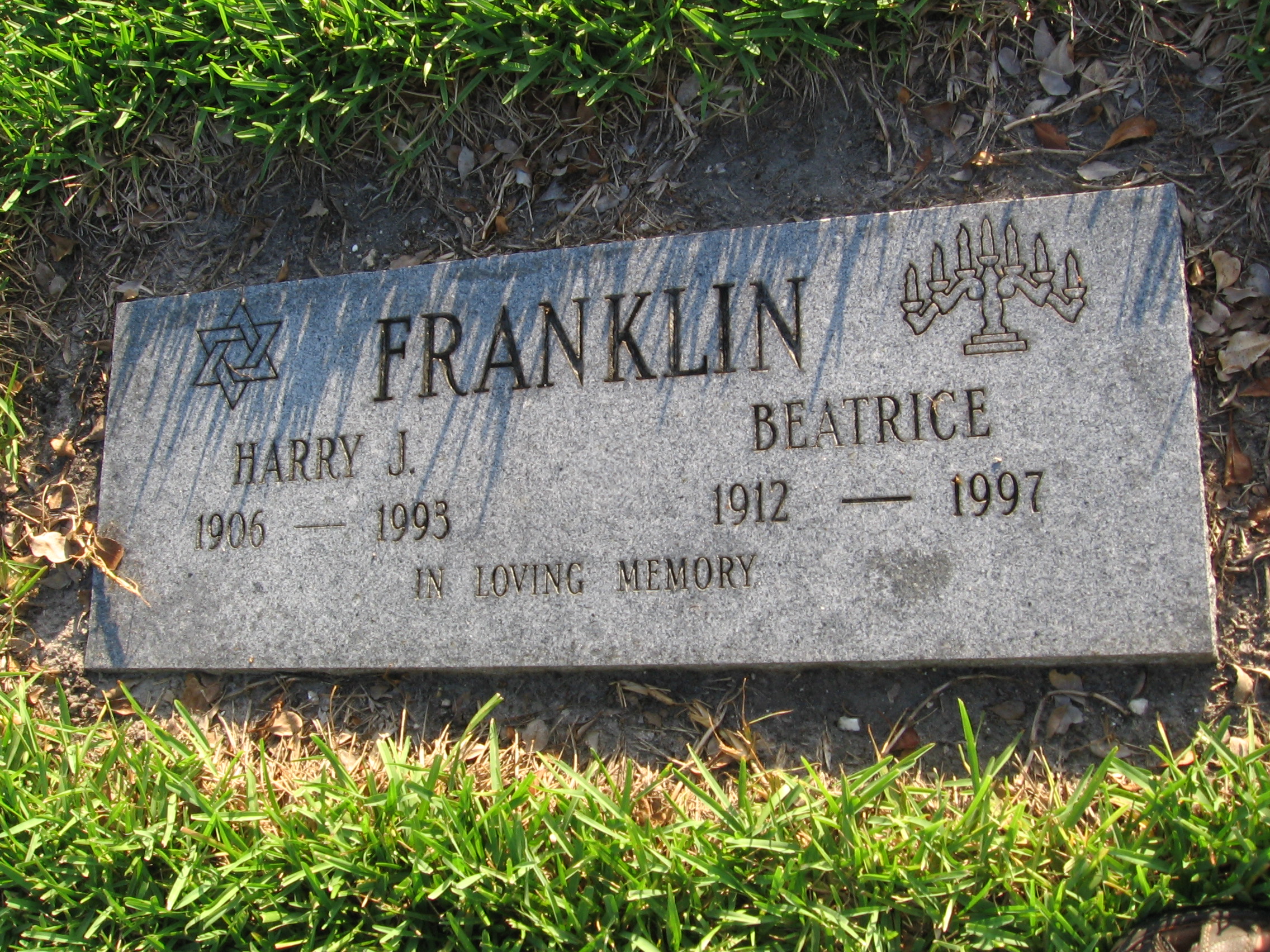 Harry J Franklin