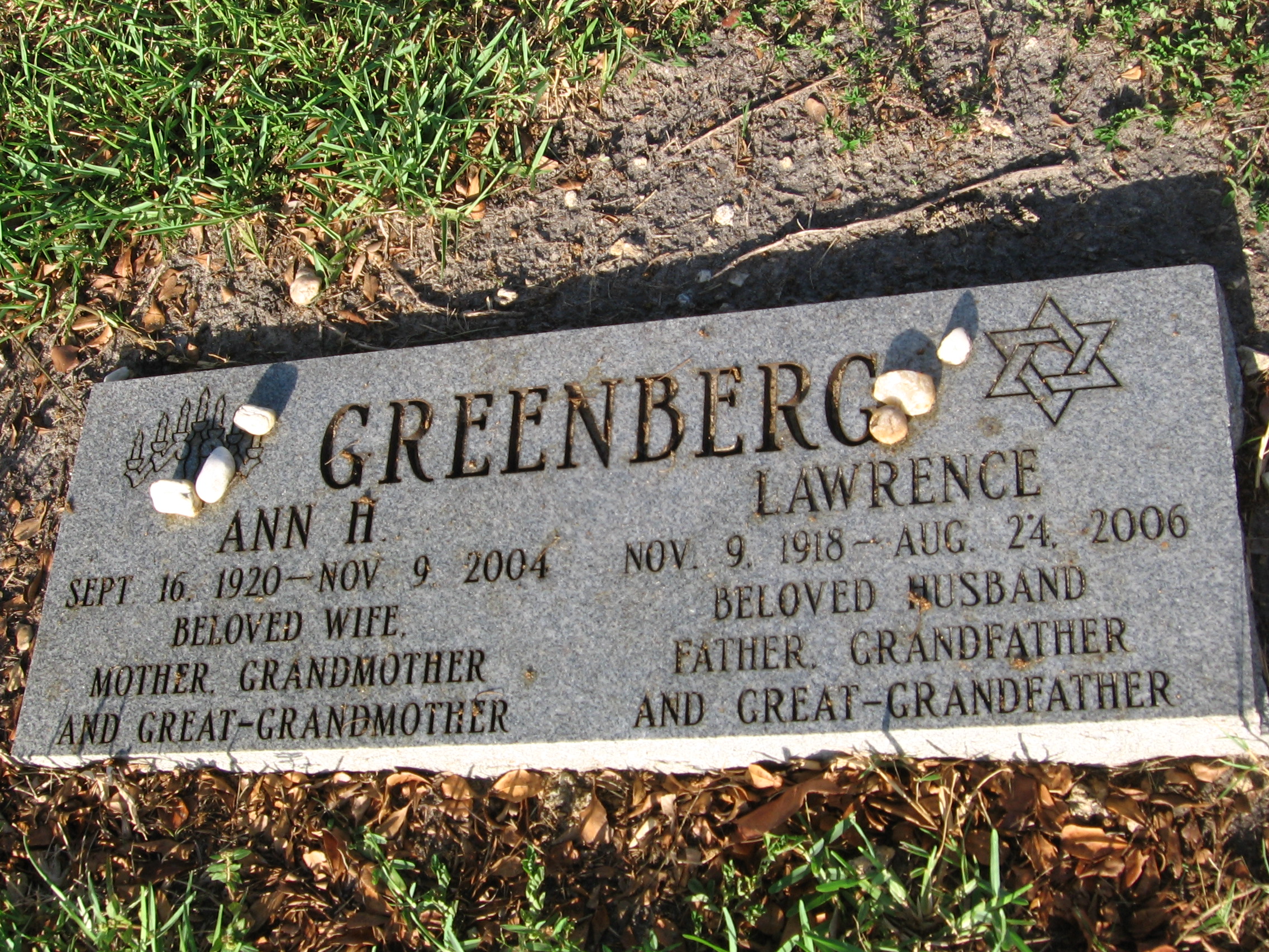 Lawrence Greenberg
