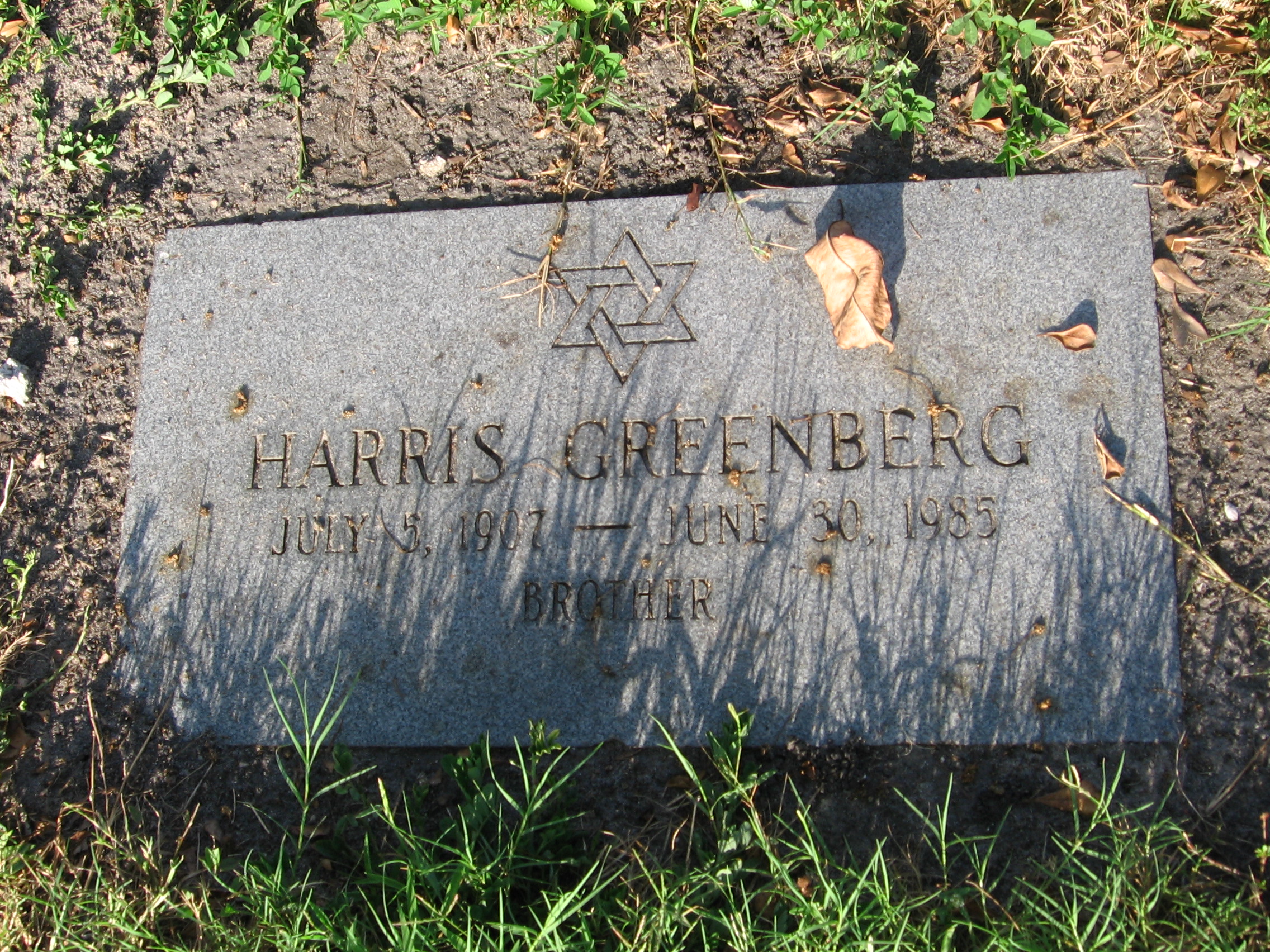 Harris Greenberg