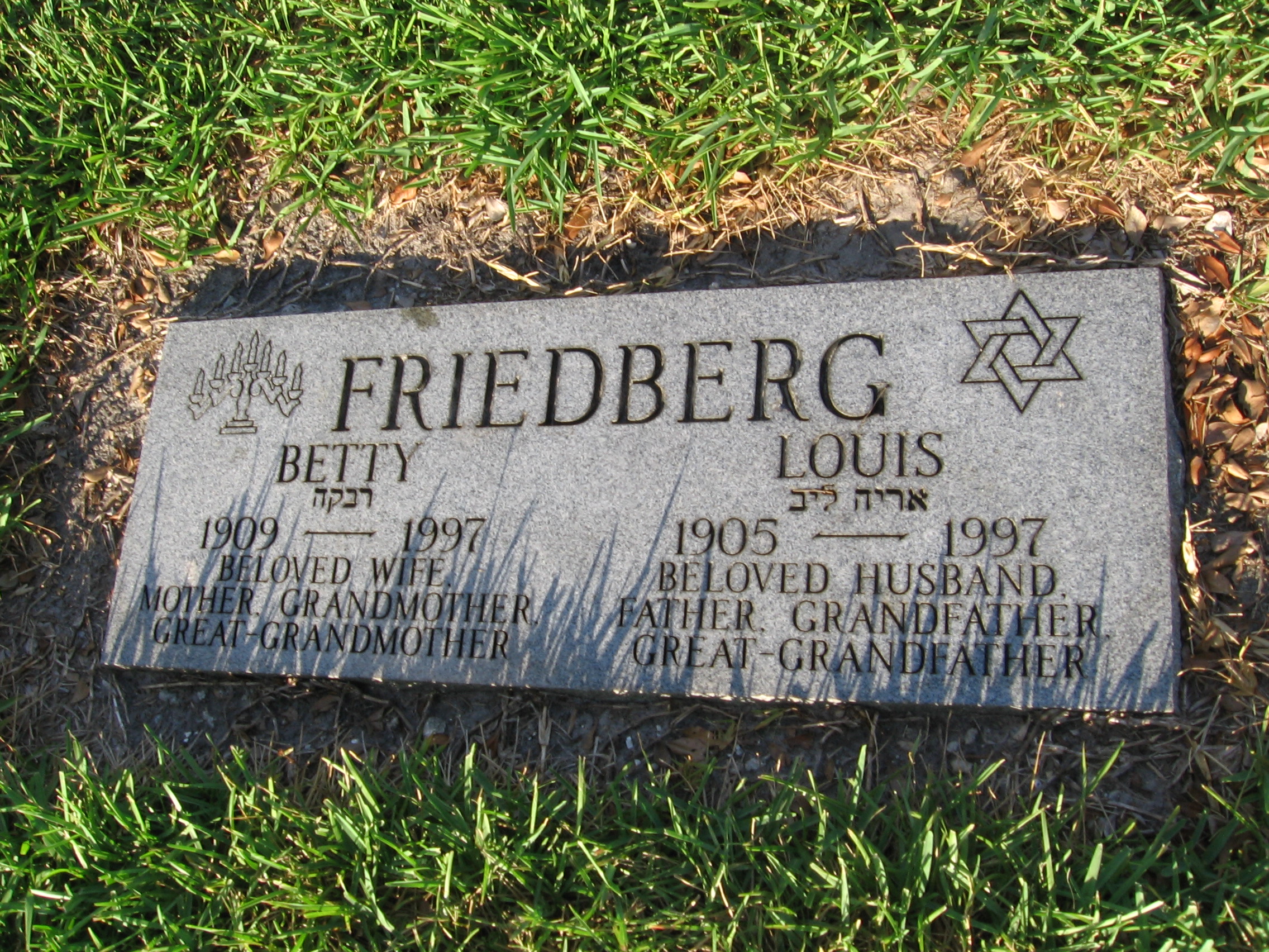Louis Friedberg
