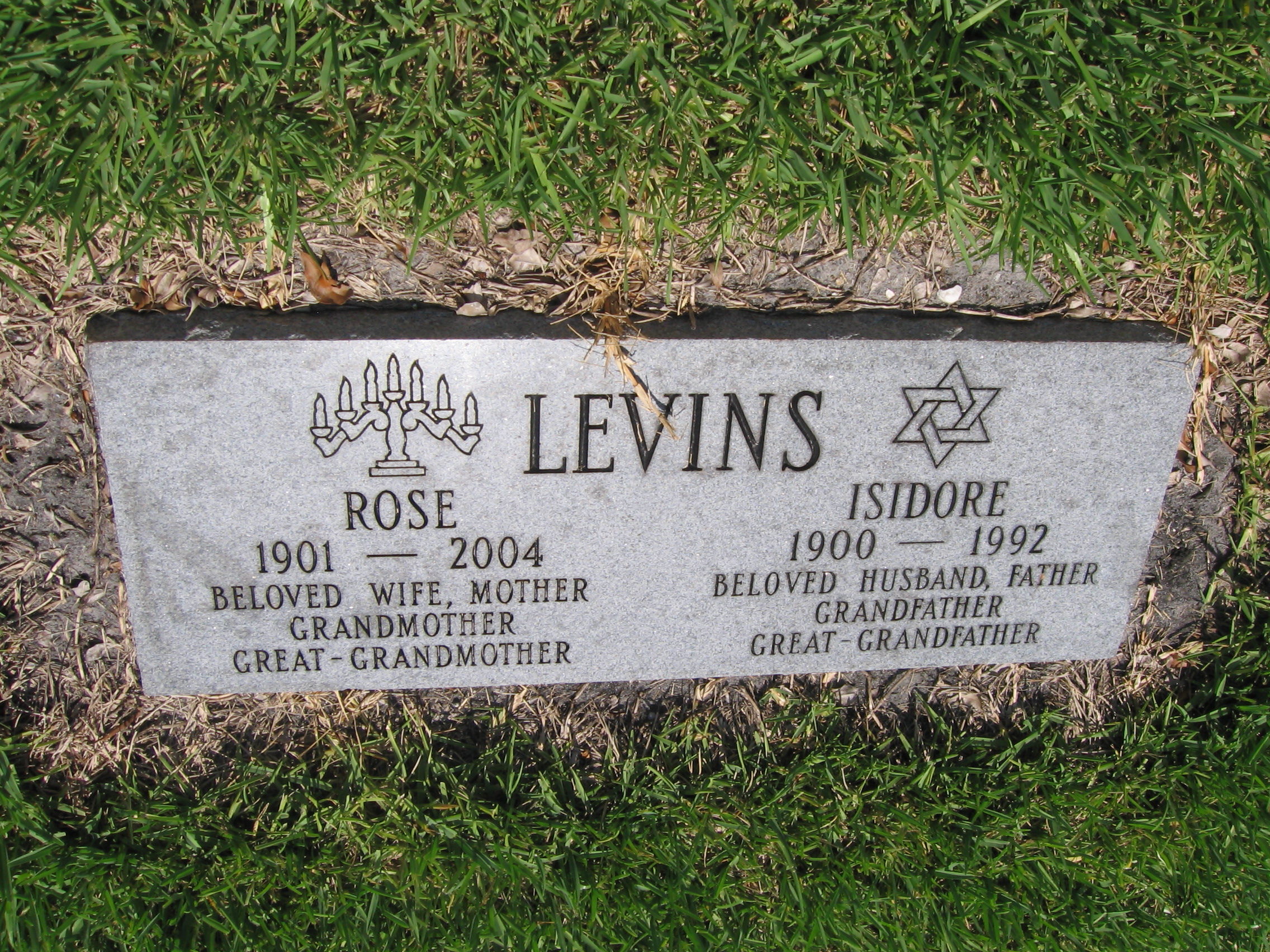 Isidore Levins