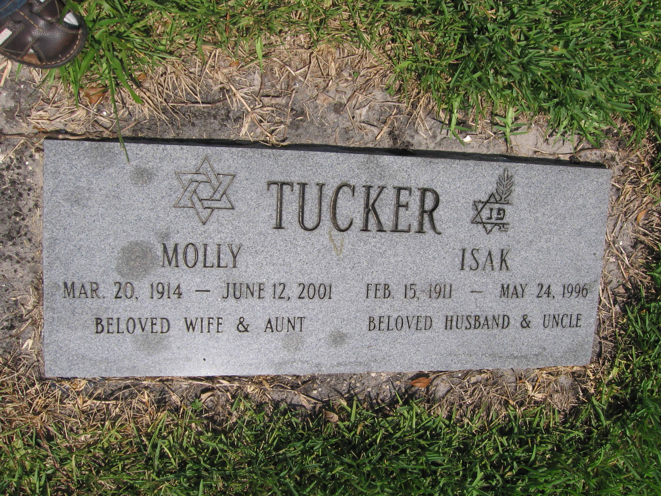Molly Tucker