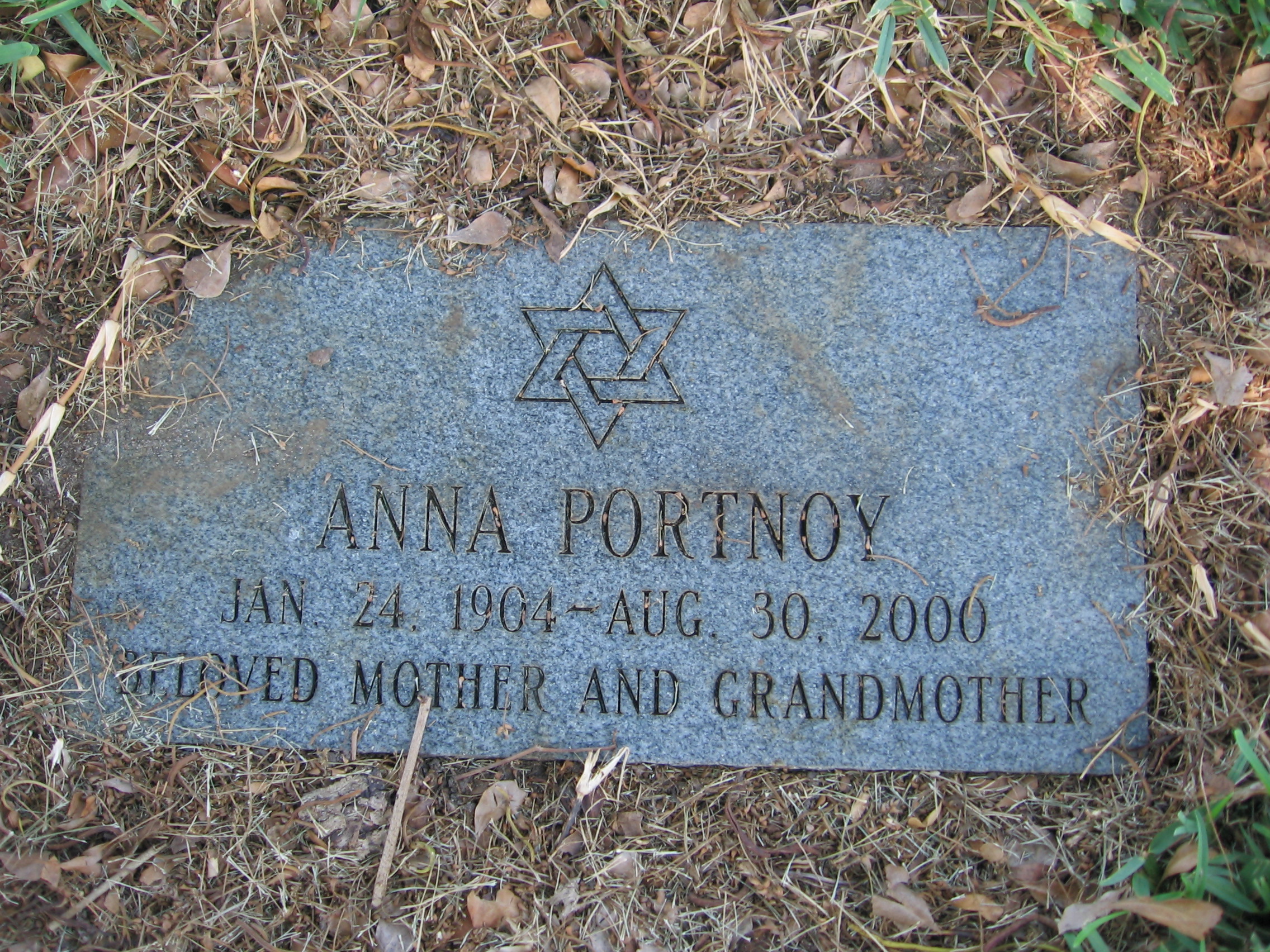 Anna Portnoy