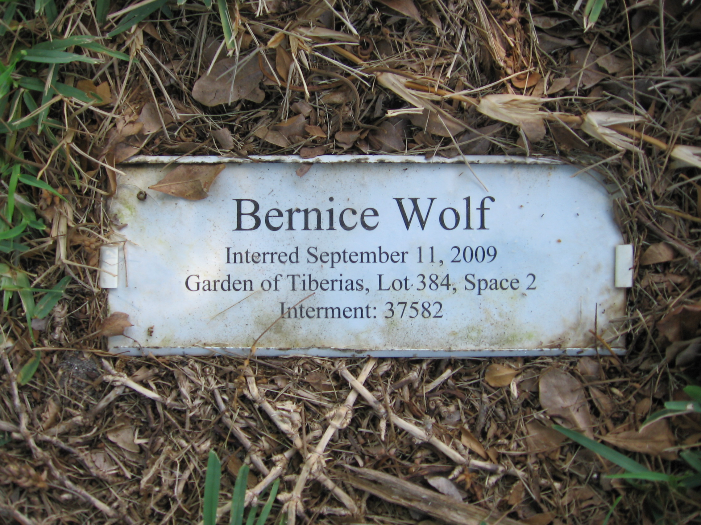 Bernice Wolf