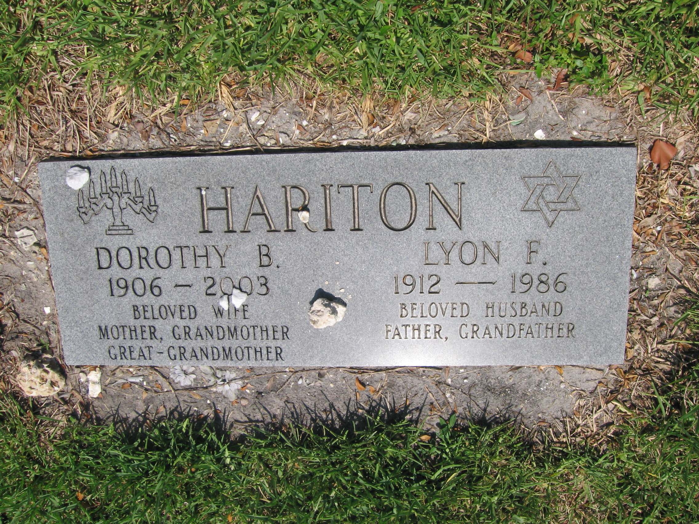 Dorothy B Hariton