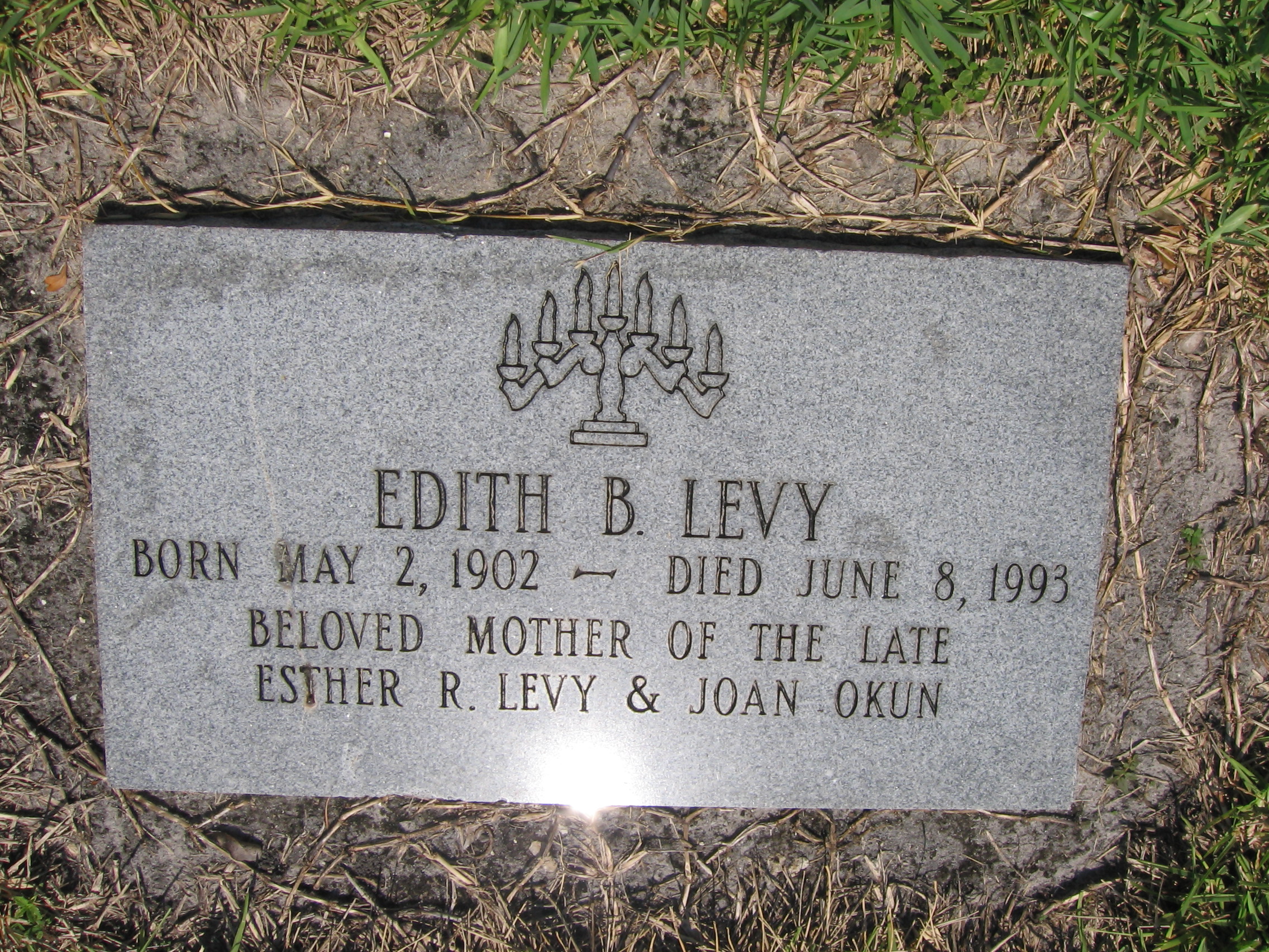 Edith B Levy