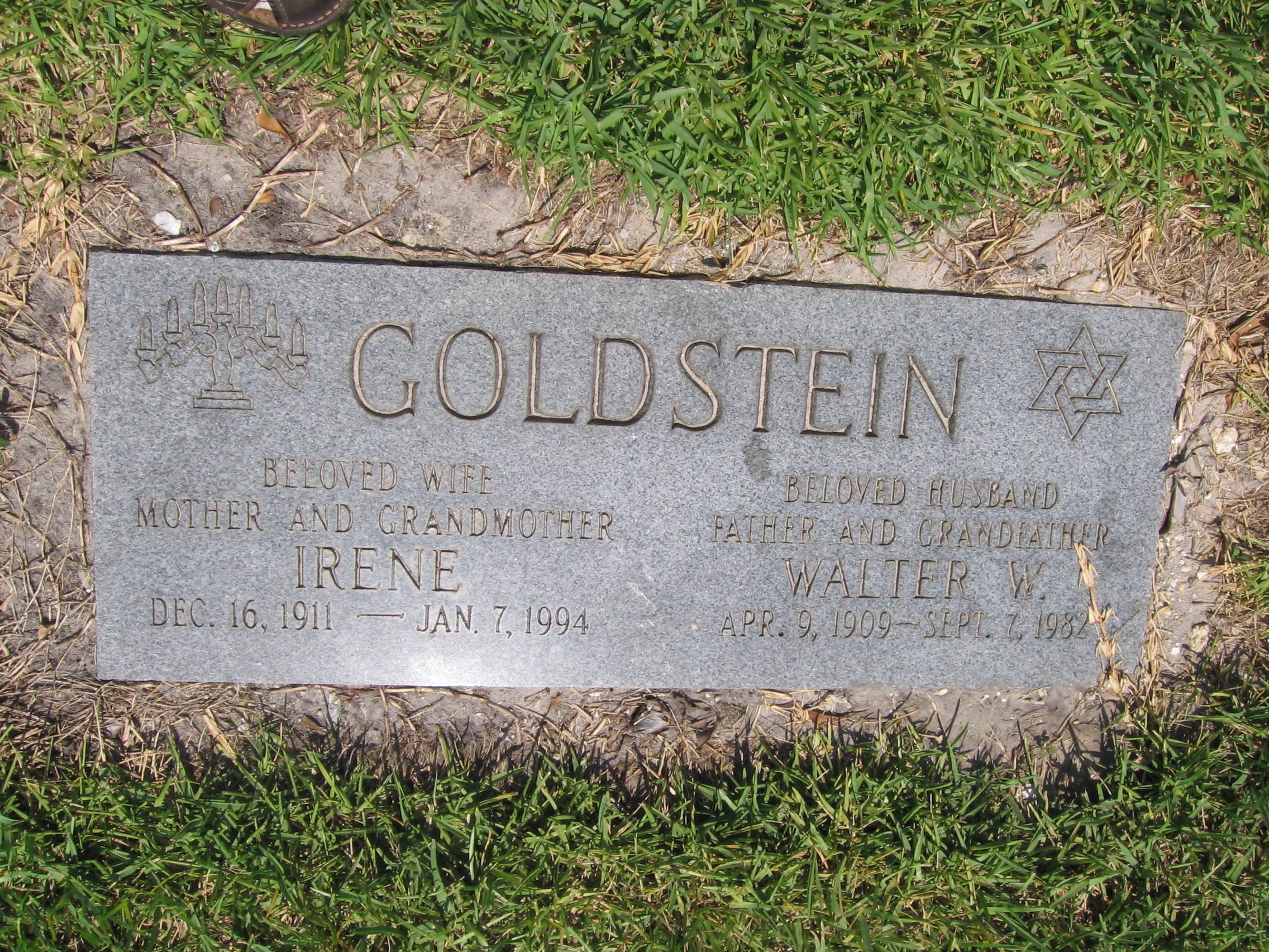Walter W Goldstein