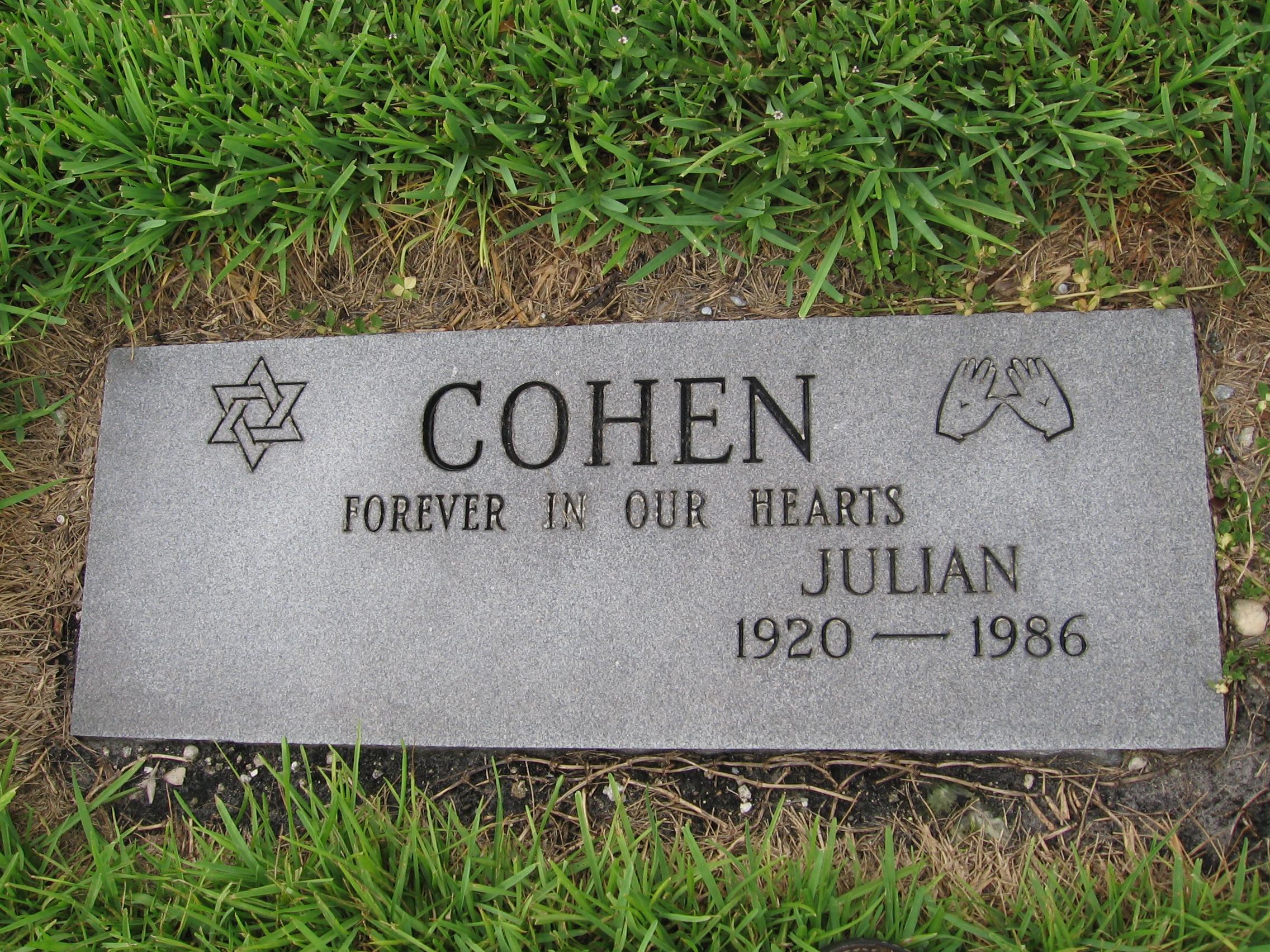 Julian Cohen